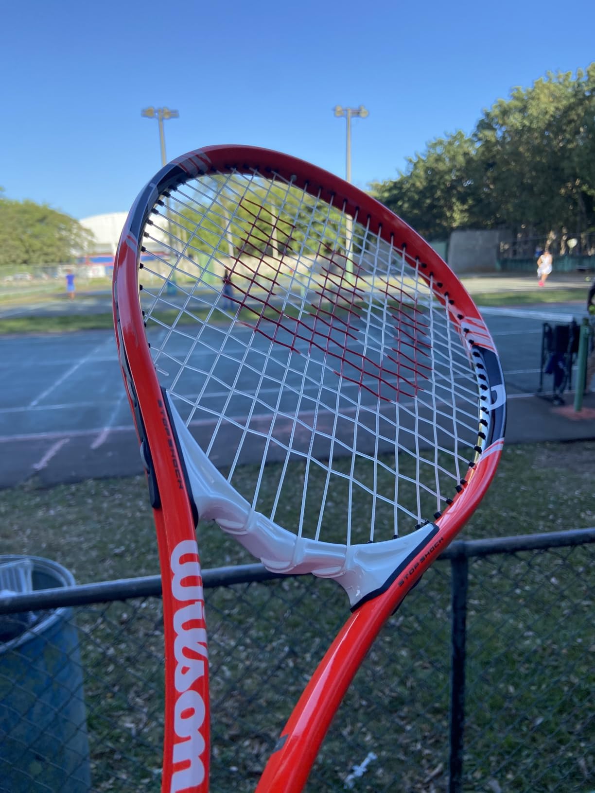 Wilson Federer Adult Recreational Tennis Racket - Grip Size 3 - 4 3/8