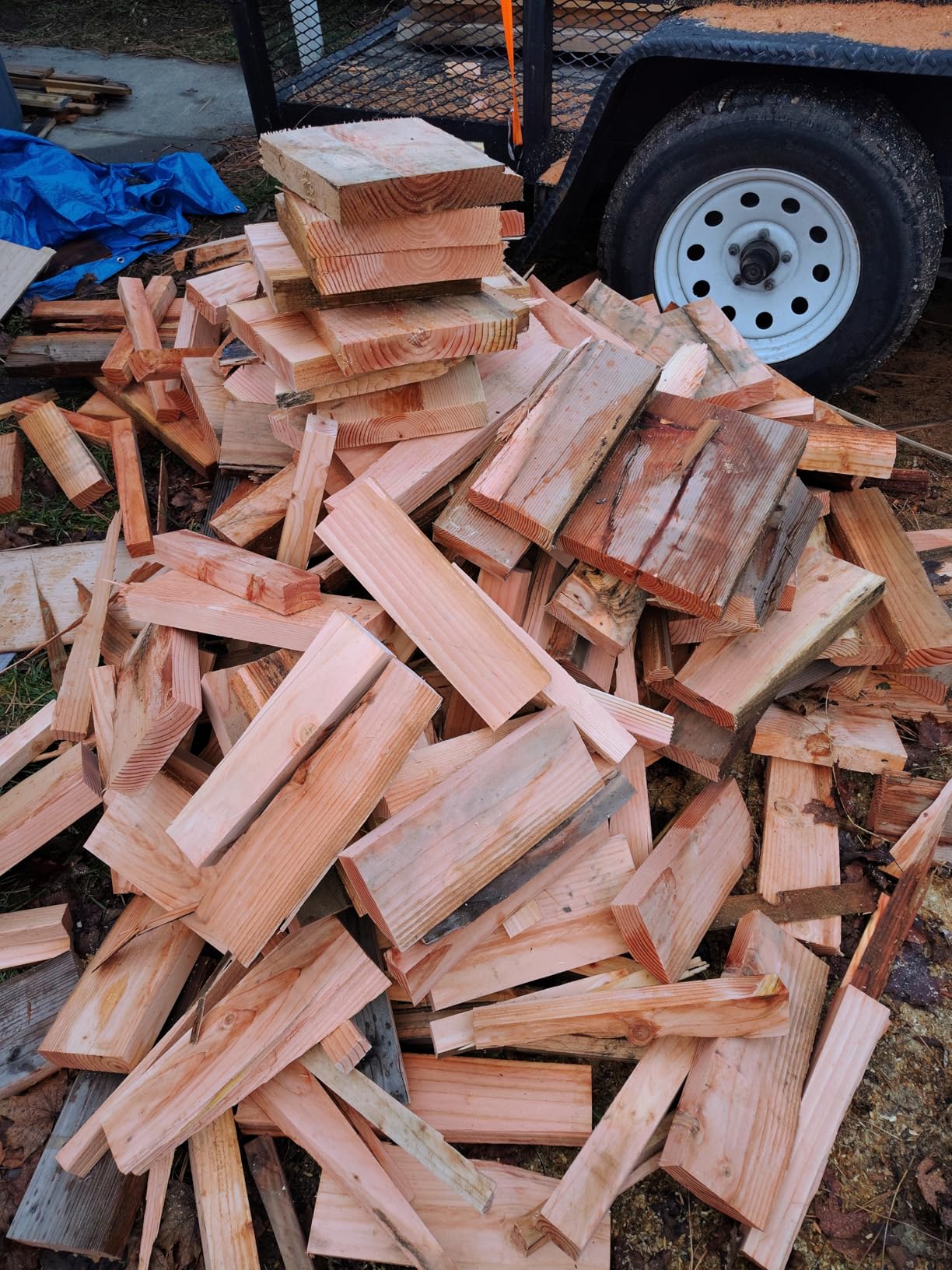 SKIL 15 Amp 7-1/4 Inch Circular Saw with Single Beam Laser Guide - 5280-01 customer photo 2