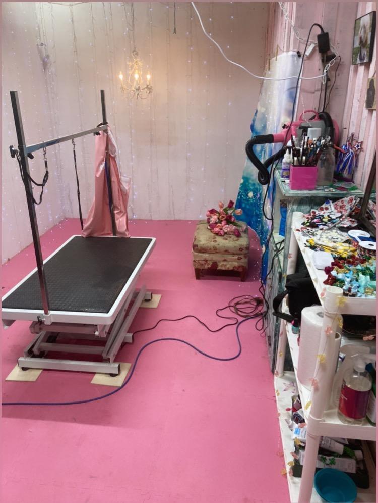 Flying Pig Heavy Duty Super-Low Electric Lift Dog Grooming Table customer photo 2