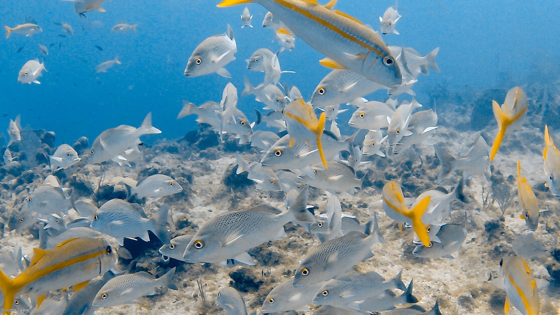 AKASO EK7000 4K30FPS 20MP WiFi Action Camera with EIS Ultra HD 131FT Waterproof customer photo 1