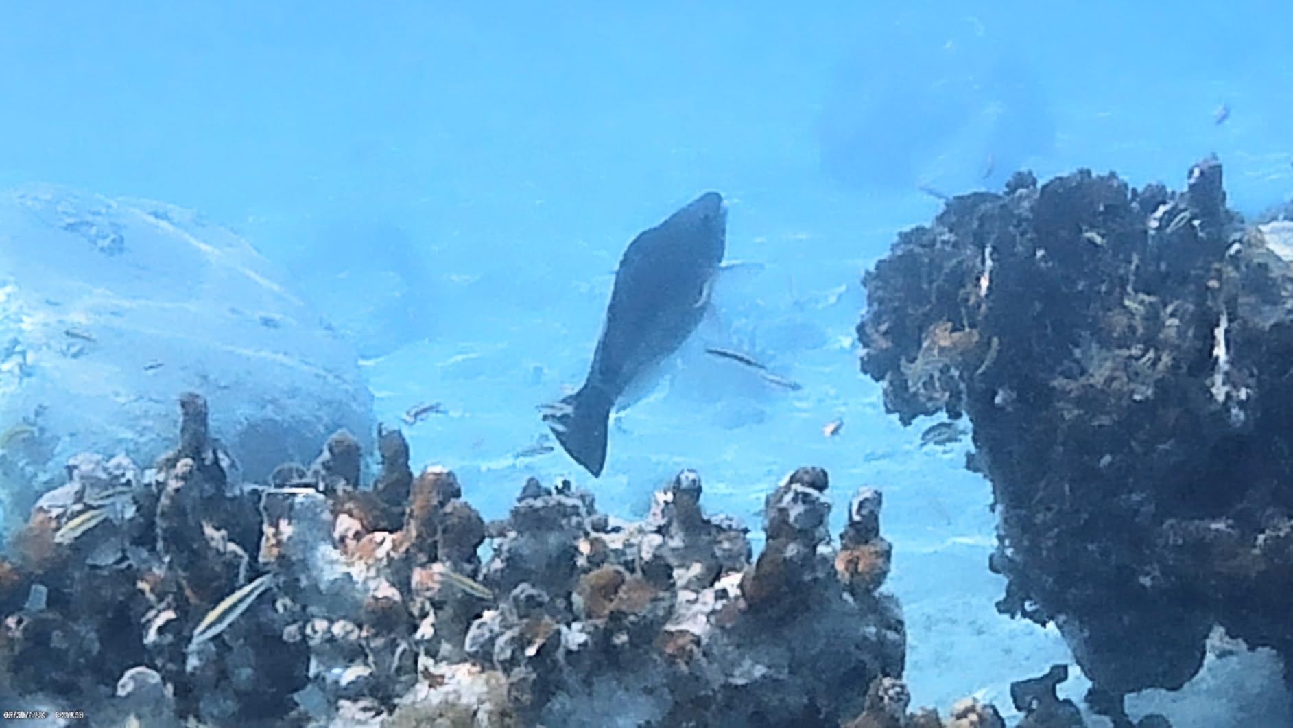 AKASO EK7000 4K30FPS 20MP WiFi Action Camera with EIS Ultra HD 131FT Waterproof customer photo 2