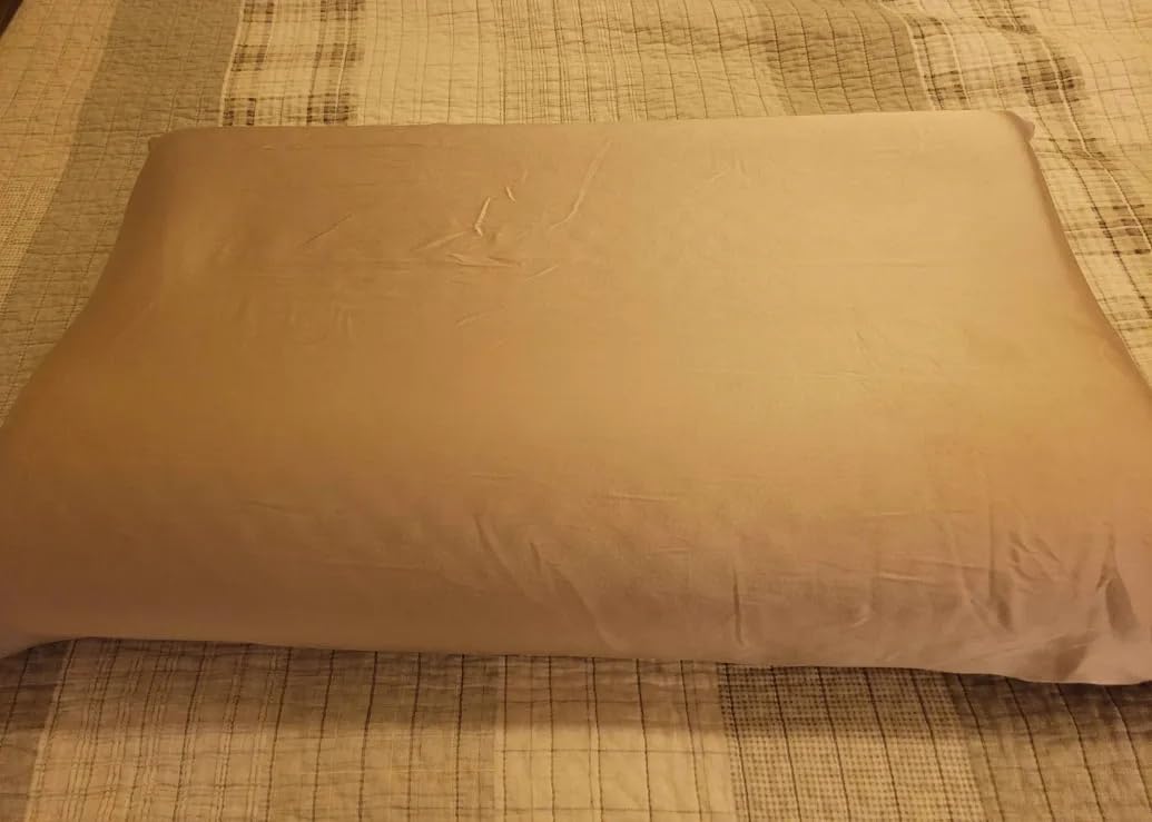 LilySilk Silk Pillowcase for Hair and Skin Standard-100% Mulberry Silk 19 Momme Both Sides Silk Bed Pillow Cover with Hidden Zipper, 1 Pc (Standard Size 20''x26'', White) customer photo 1