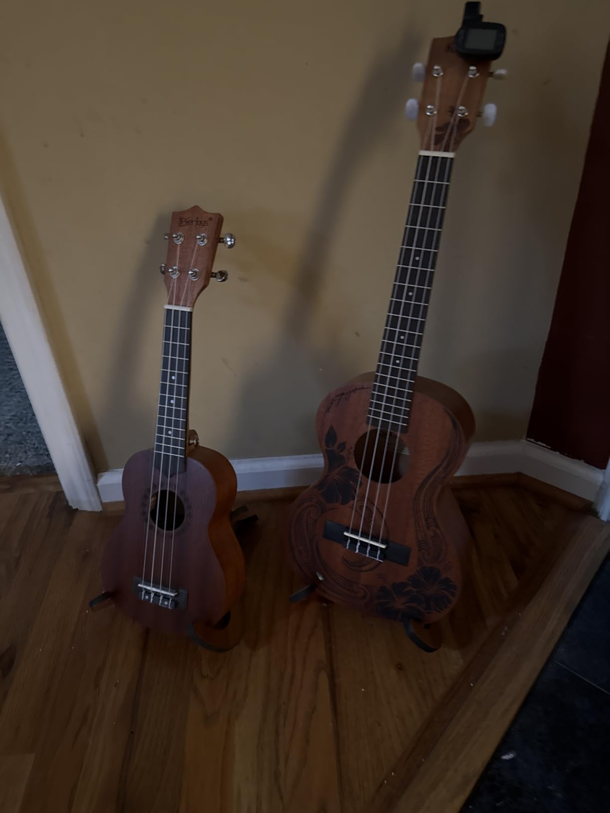 Everjoys Soprano Ukulele Beginner Pack-21 Inch w/Free Online Lesson Gig Bag Digital Tuner Pick All in One Kit (Rainbow String) customer photo 1