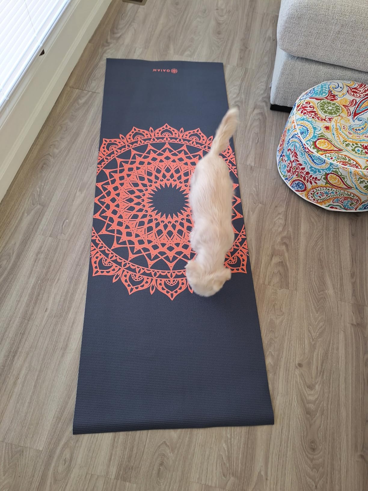 Gaiam Print Yoga Mat, Non Slip Exercise & Fitness Mat for All Types of Yoga, Pilates & Floor Exercises customer photo 1
