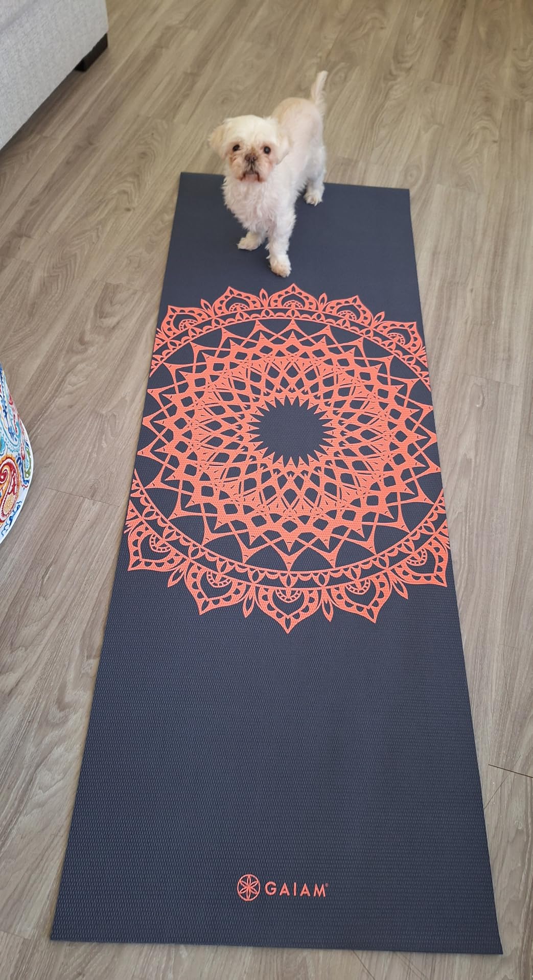 Gaiam Print Yoga Mat, Non Slip Exercise & Fitness Mat for All Types of Yoga, Pilates & Floor Exercises customer photo 2