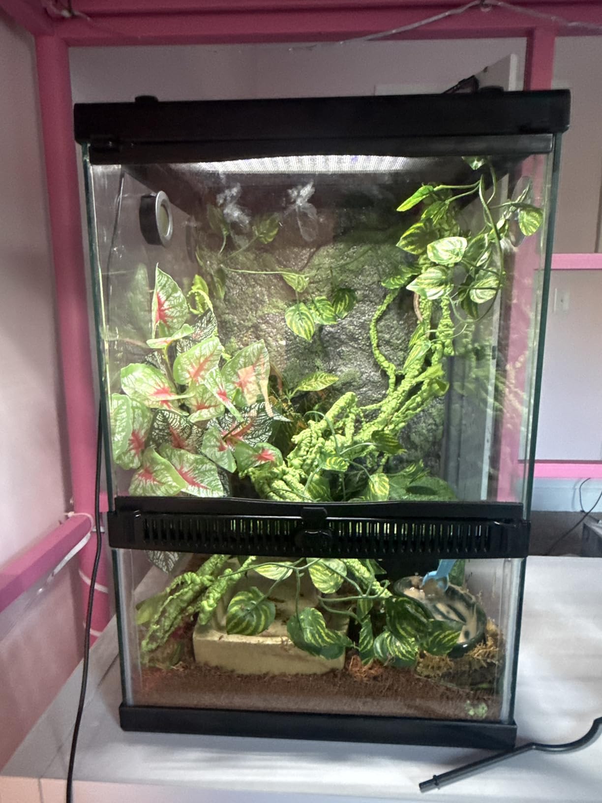 Zilla 11 Gallon Glass Tropical Vertical Habitat Starter Kit for Small Tree Dwelling Reptiles & Amphibians customer photo 2