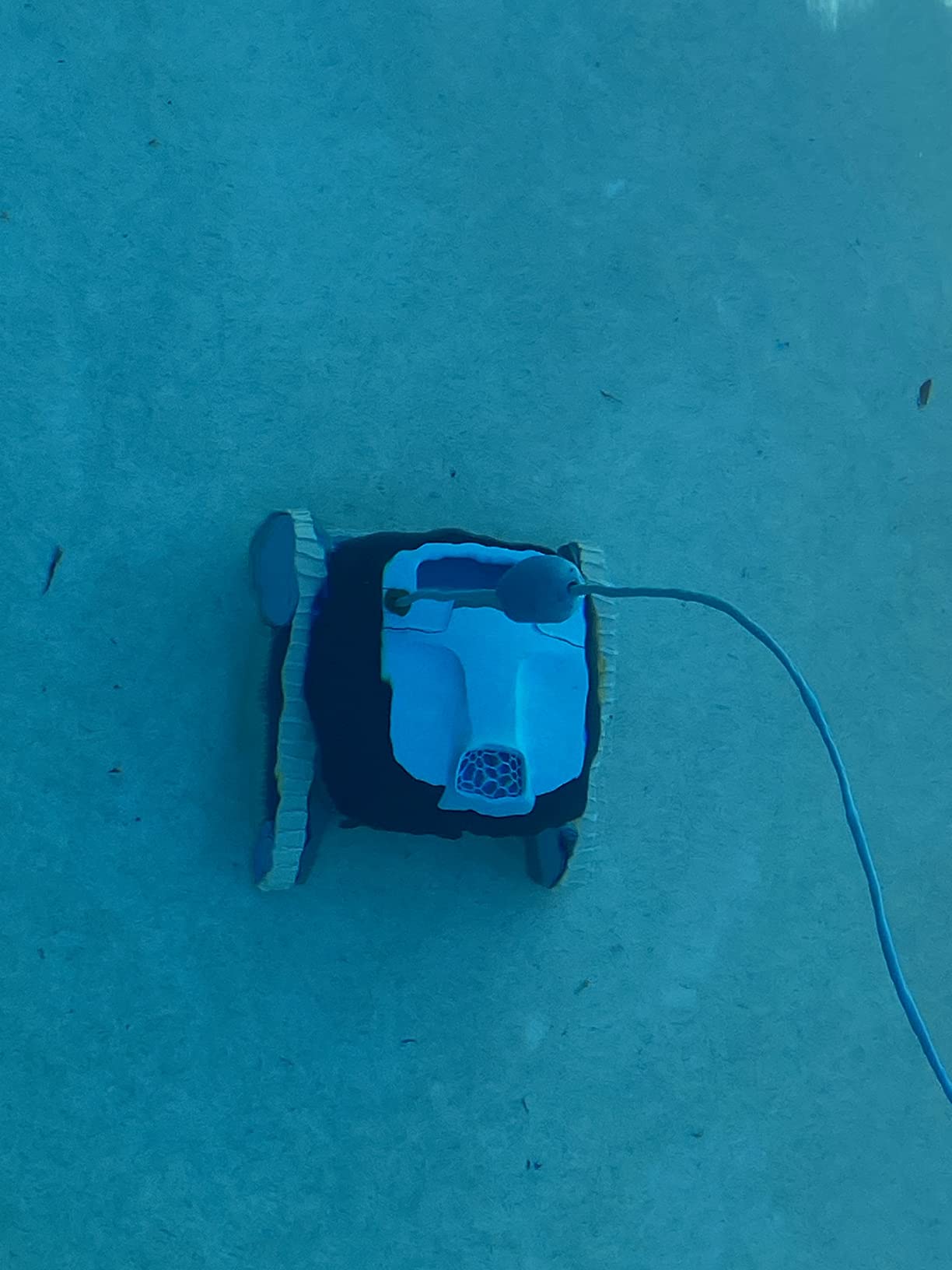 Dolphin Nautilus CC Automatic Robotic Pool Vacuum Cleaner, Wall Climbing Scrubber Brush, Top Load Filter Access, Ideal for Above/In-Ground Pools up to 33 FT in Length customer photo 1