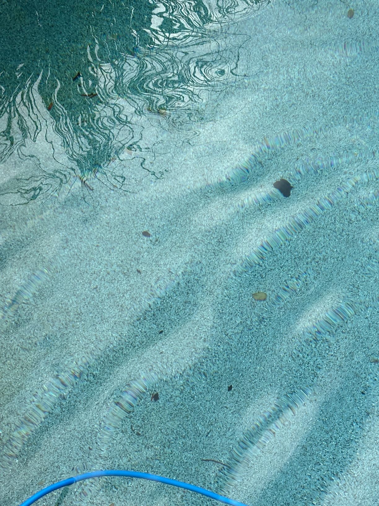 Dolphin Nautilus CC Automatic Robotic Pool Vacuum Cleaner, Wall Climbing Scrubber Brush, Top Load Filter Access, Ideal for Above/In-Ground Pools up to 33 FT in Length customer photo 3