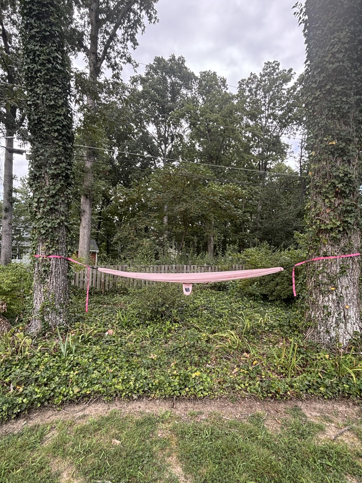 Gold Armour Camping Hammock - XL Double Hammock Portable Hammock Camping Accessories Gear for Outdoor Indoor with Tree Straps, USA Based Brand (Black and Gray) customer photo 2