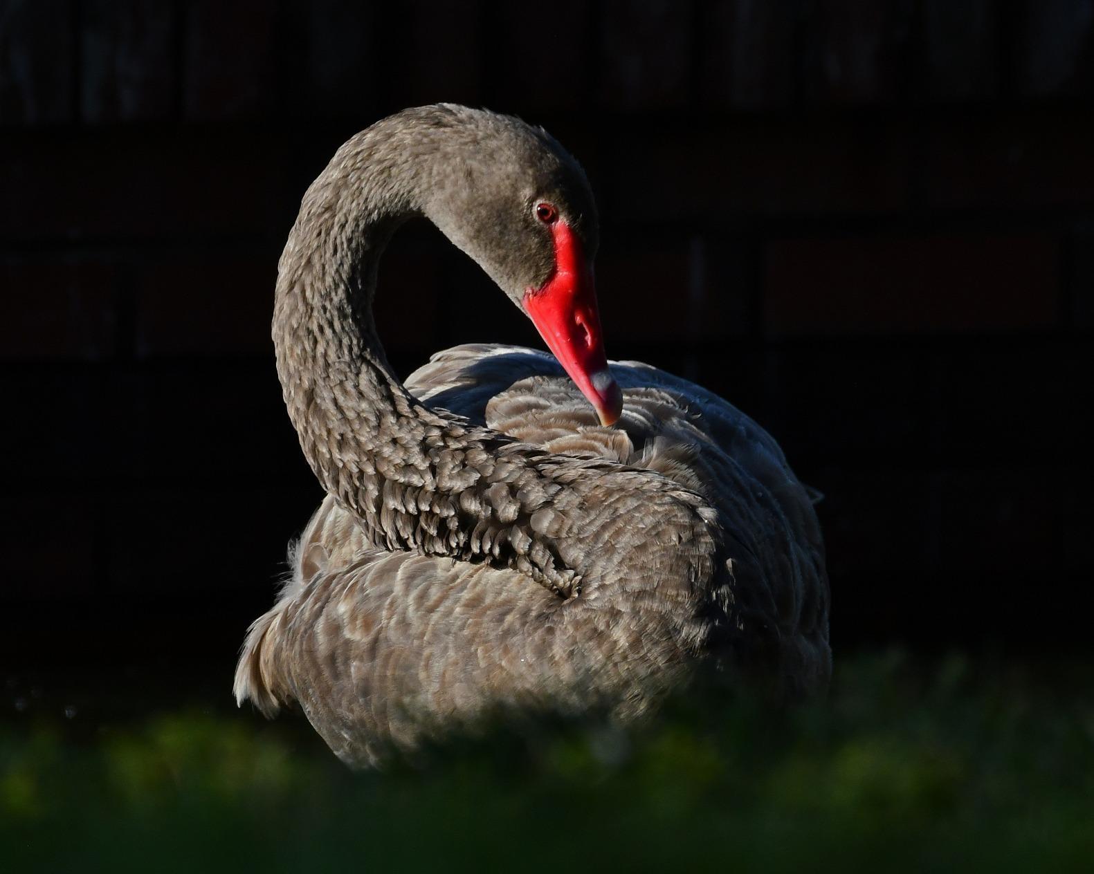 Nikon D7500 20.9MP DSLR Camera with AF-S DX NIKKOR 18-140mm f/3.5-5.6G ED VR Lens, Black customer photo 2