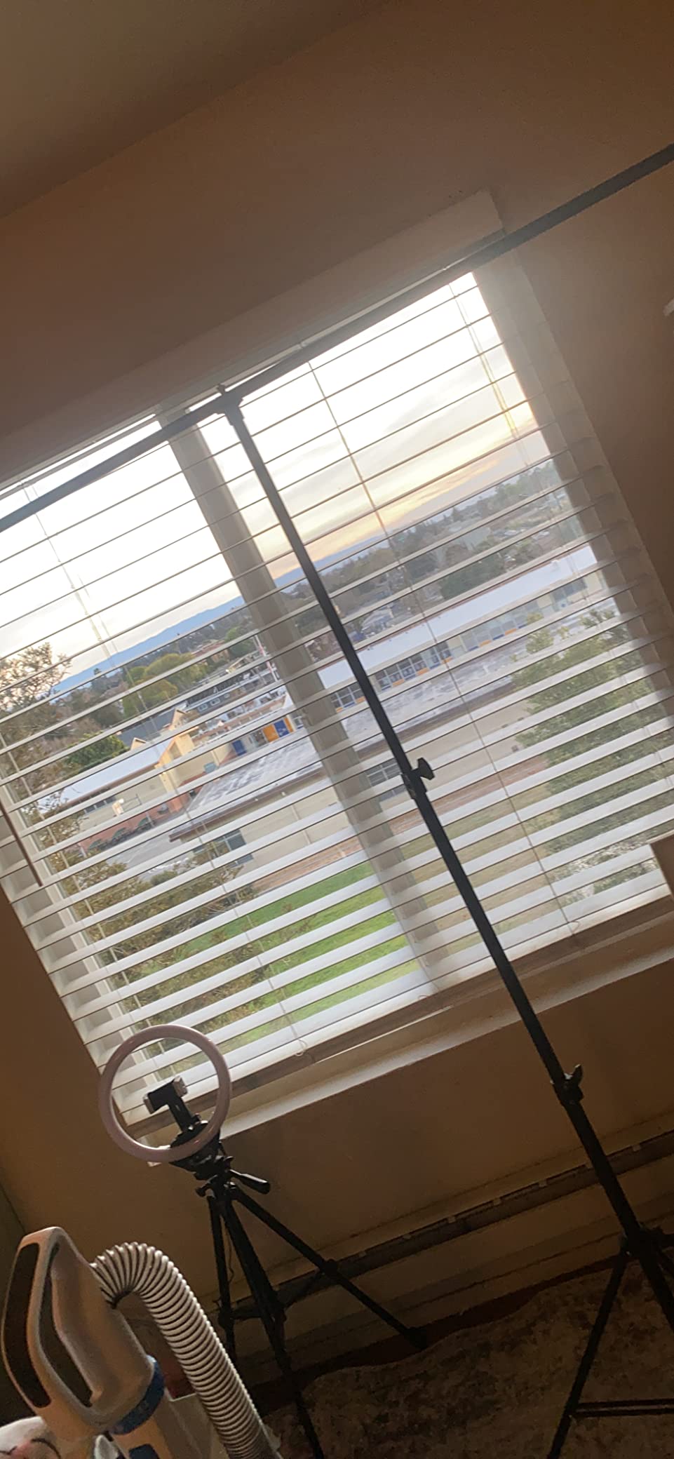 LINCO Lincostore Zenith Portable T-Shape Background Backdrop Stand Kit 5x6.7ft - 5ft Wide (Fixed) and 6.7ft High (Adjustable)- Lightweight Only 4 Lbs Easy to Carry and Storage Black customer photo 2