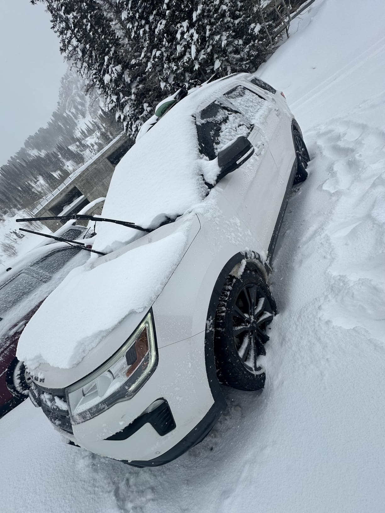 Yakima FatCat EVO 6 Ski & Snowboard Roof Rack Mount - Aerodynamic, Lockable customer photo 2