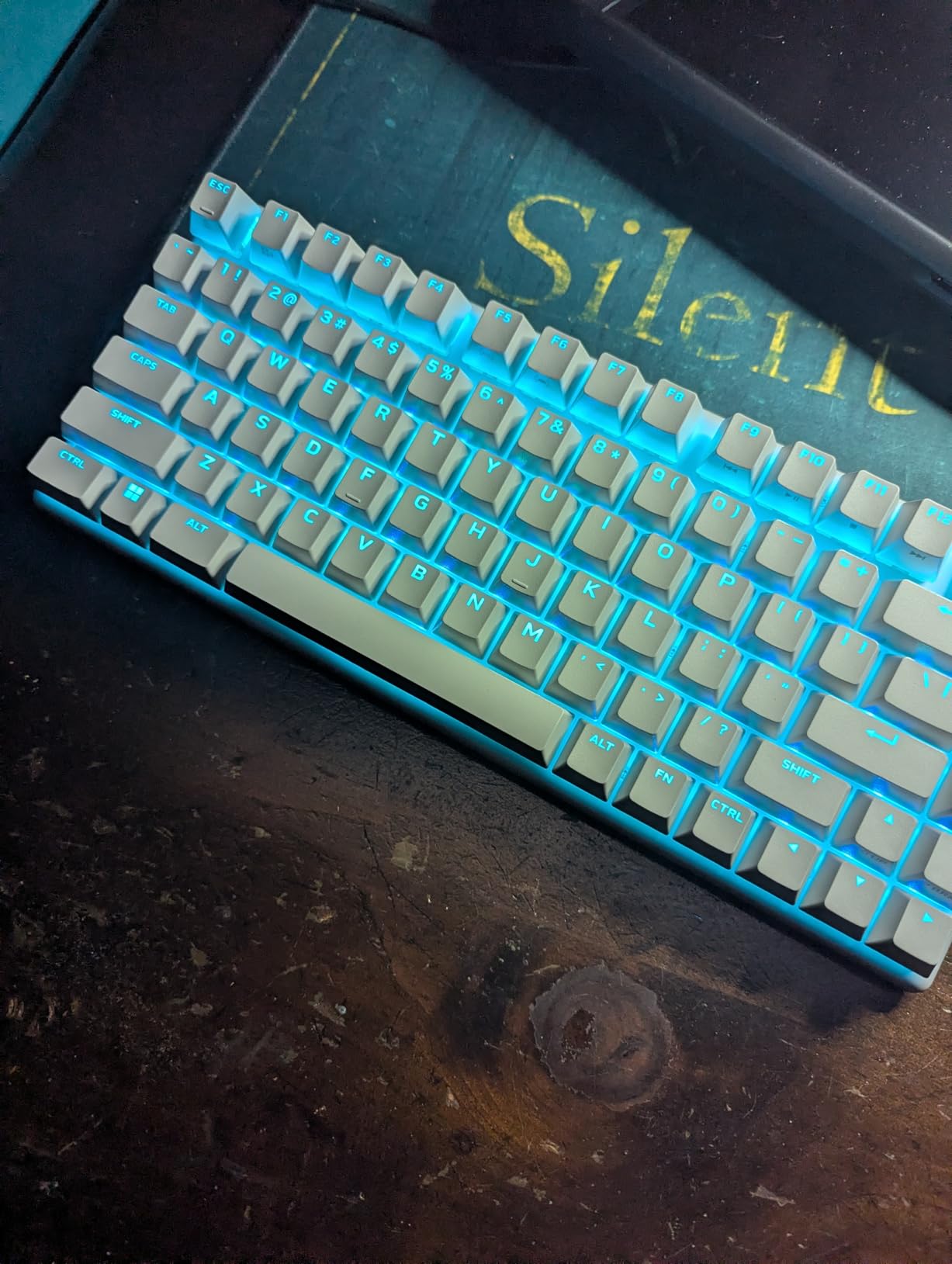 GLORIOUS Mechanical Keyboard O-Ring - Switch Dampeners (G40-THIN) (40A-Thin Soft) customer photo 2