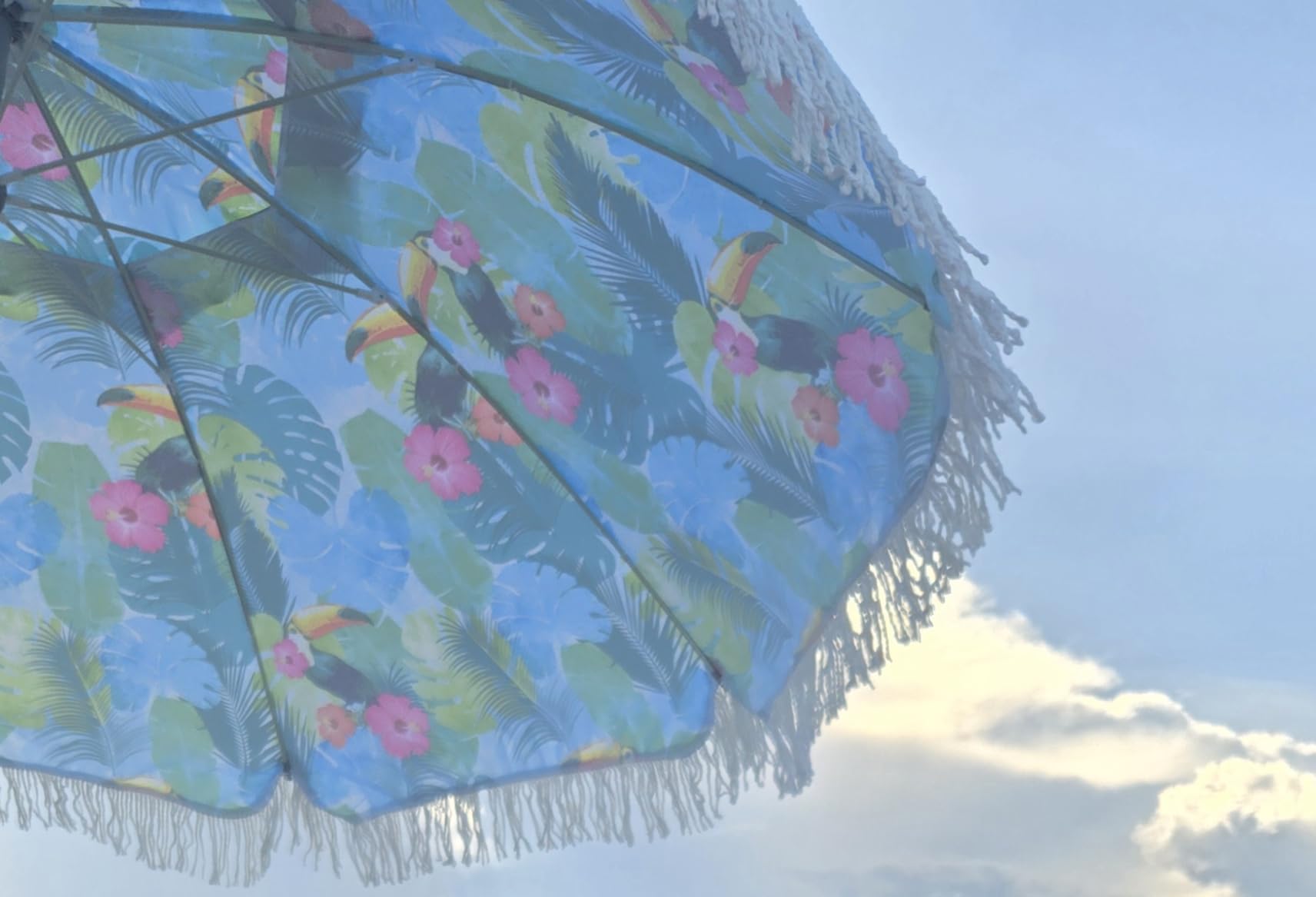 AMMSUN 6.5ft Heavy Duty HIGH Wind fringe Beach Umbrella with sand anchor Vent Tilt Portable Sun Shelter UPF 50+ Windproof Outdoor Sunshade Umbrellas Carry Bag for Patio Garden Pool Backyard Sports customer photo 1