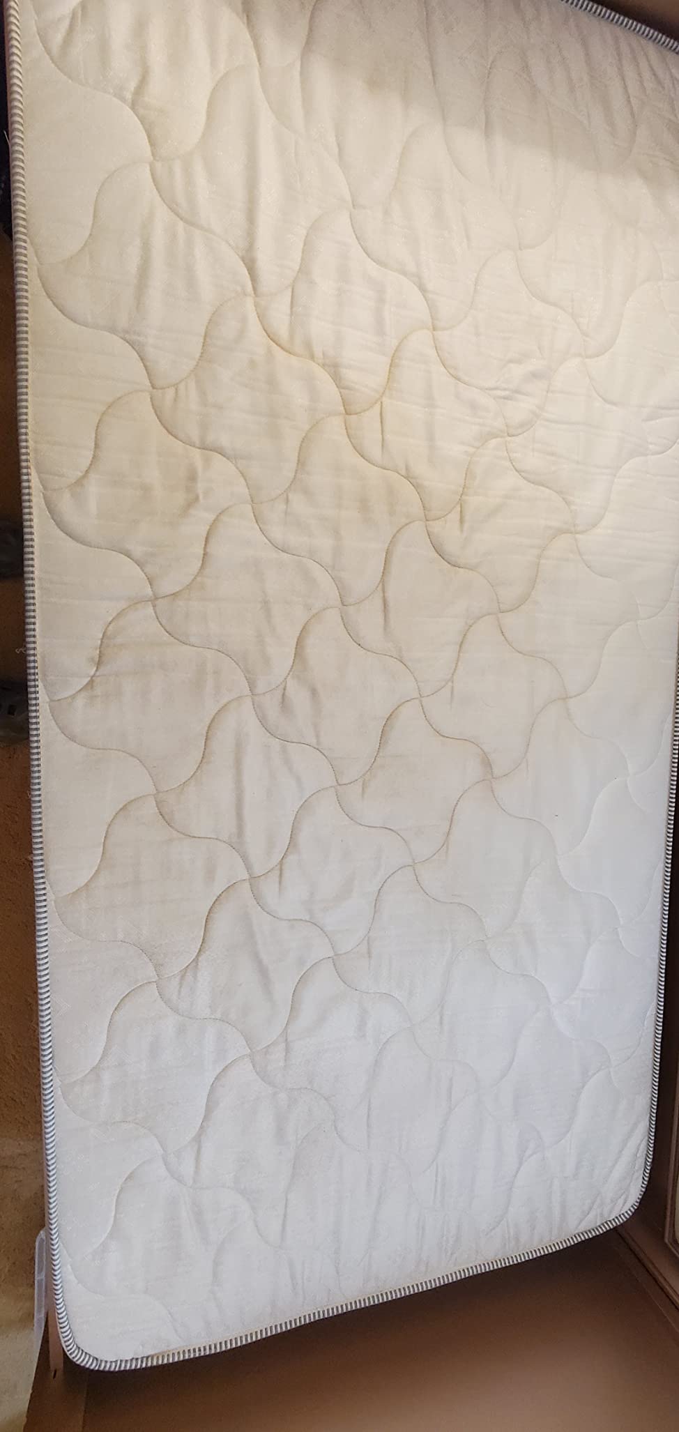 Mytee - Contractor's Special Heated Carpet Extractor customer photo 2