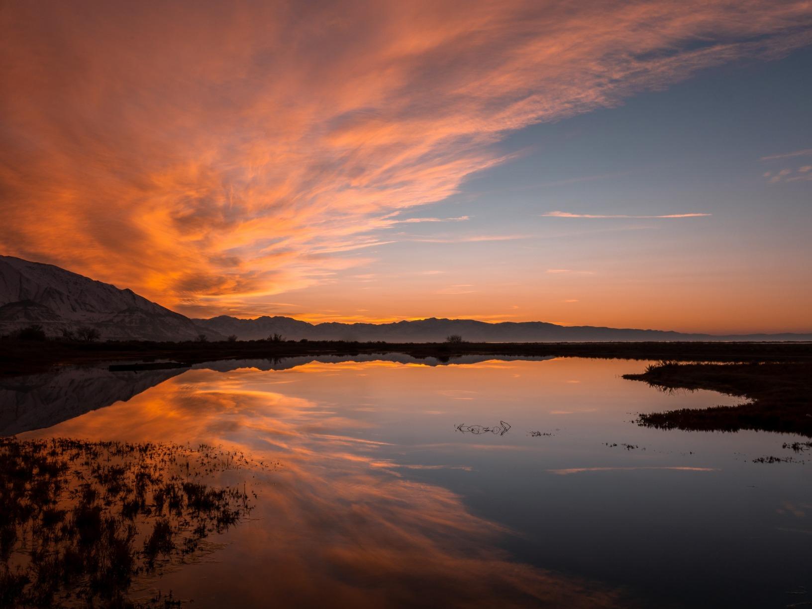 Sigma 16mm f/1.4 DC DN Contemporary Lens for Micro Four Thirds, Black customer photo 1