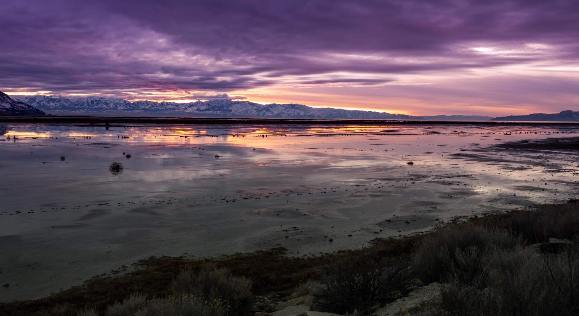 Sigma 16mm f/1.4 DC DN Contemporary Lens for Micro Four Thirds, Black customer photo 2