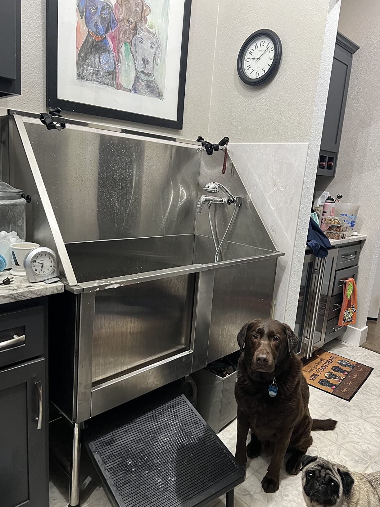 Stainless Steel Dog Grooming Bath Tub with Ramp, Faucet, Hoses and Loops (50