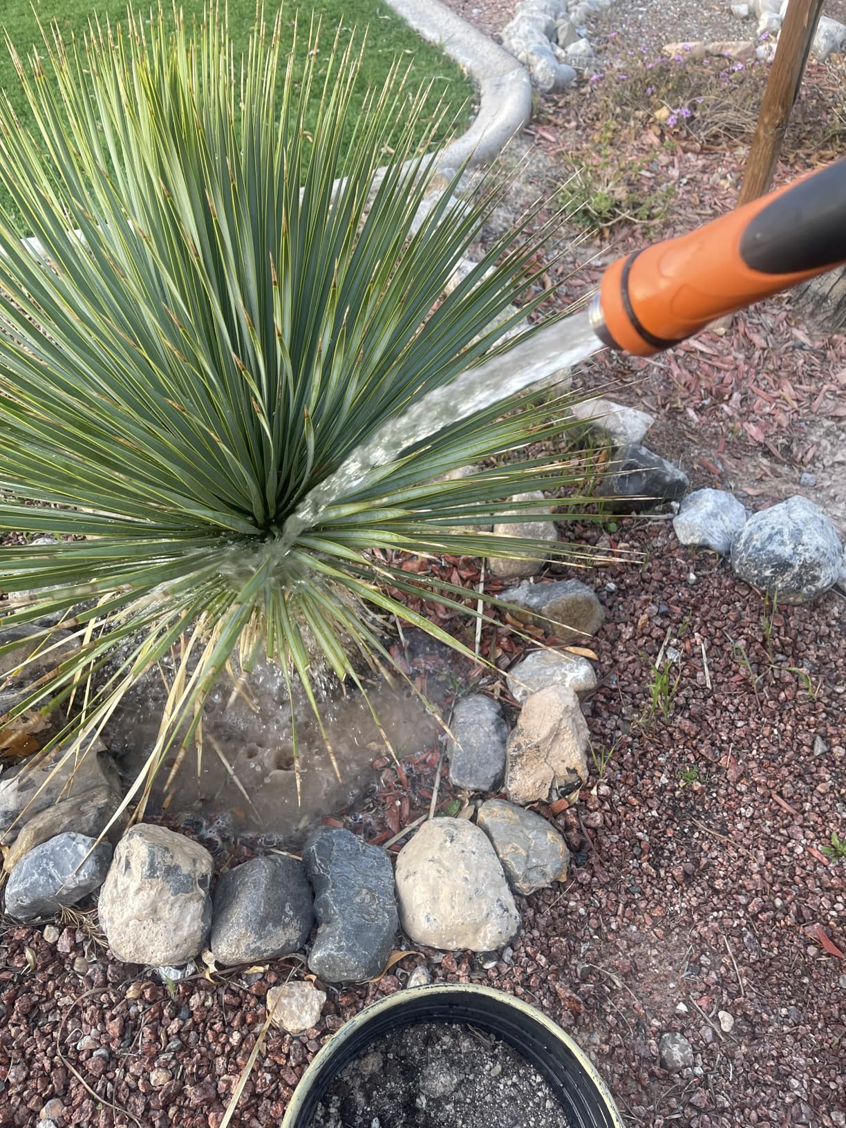 Giraffe Tools Garden Hose 5/8