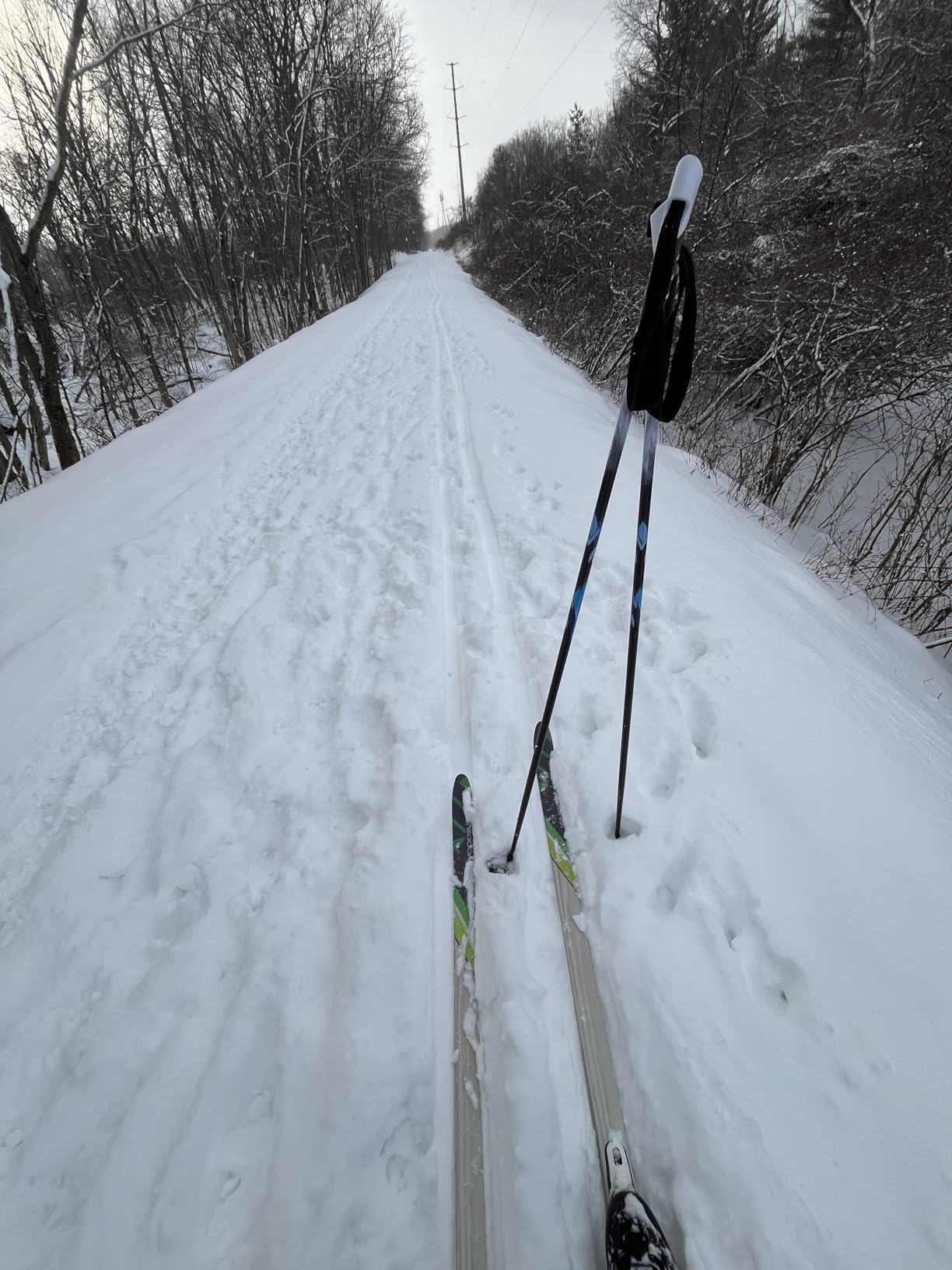 Whitewoods Adult NNN Cross Country Ski Package; Boots, Bindings, Poles, Skis 207cm (for Skiers 180 lbs. & Up) customer photo 2