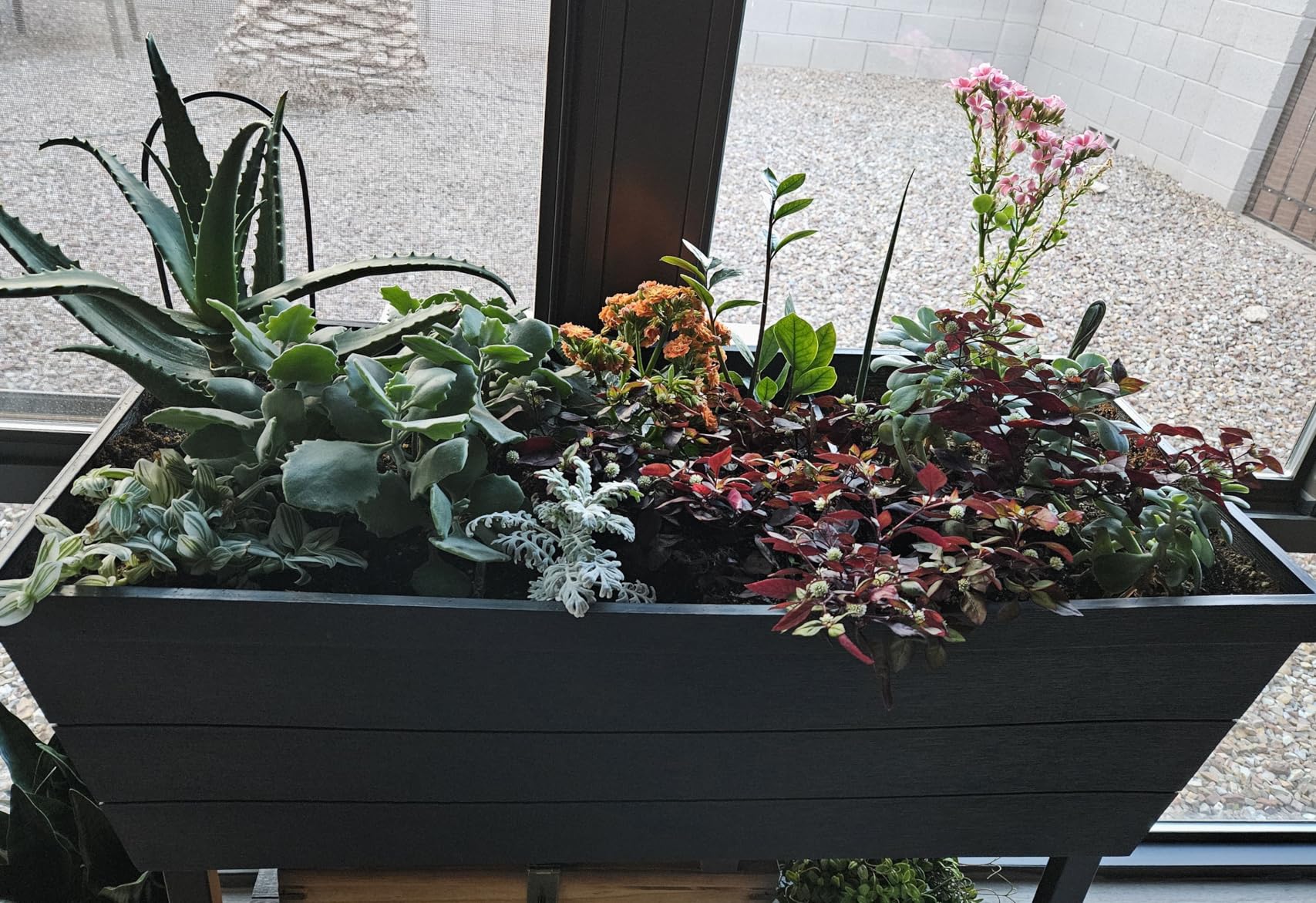 Keter Urban Bloomer 12.7-Gallon Raised Garden Bed - Elevated Outdoor Planter Box with Self-Watering Reservoir, Water Gauge & Drainage System, Perfect for Herbs & Vegetables, Dark Grey customer photo 1