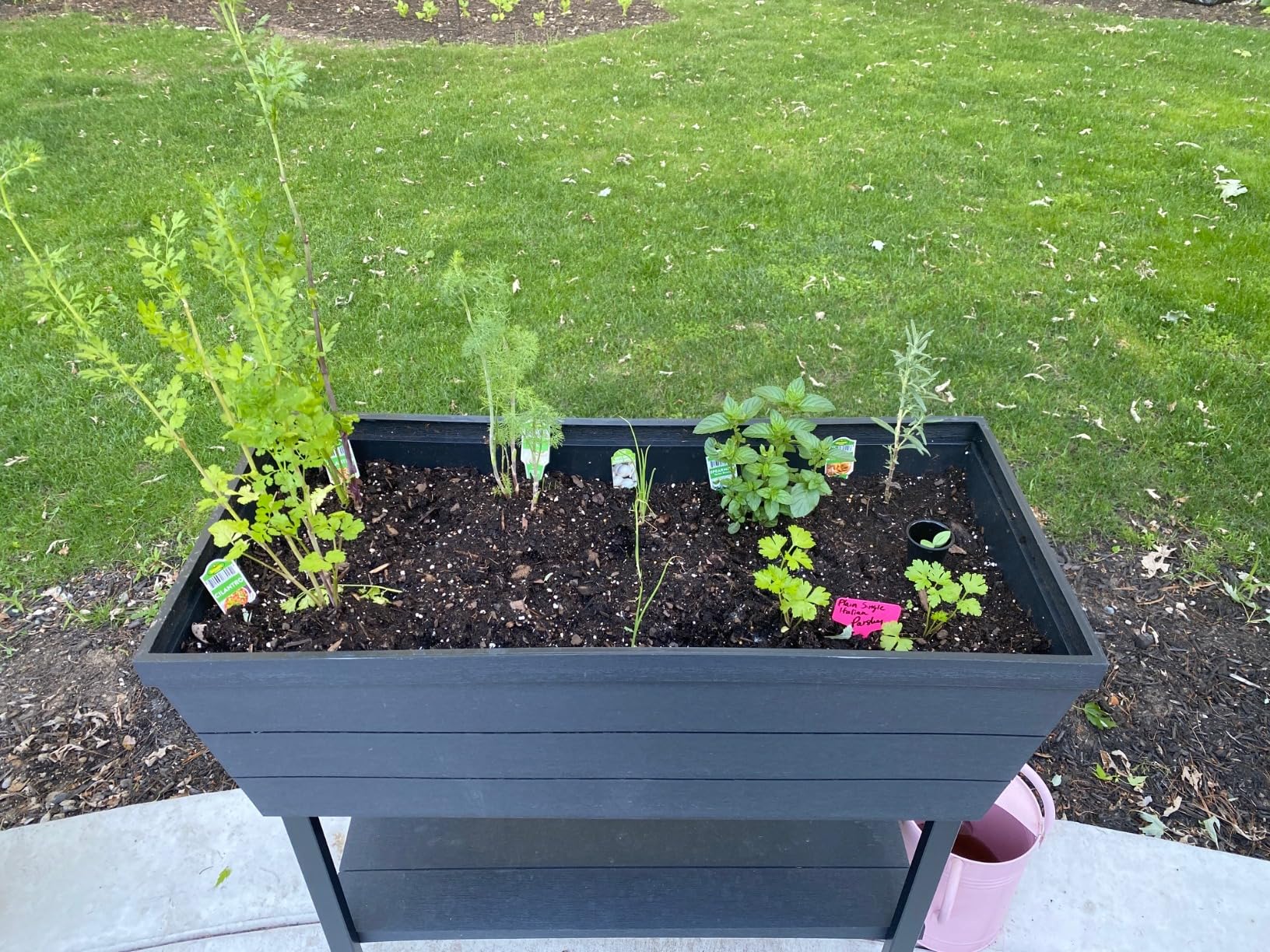 Keter Urban Bloomer 12.7-Gallon Raised Garden Bed - Elevated Outdoor Planter Box with Self-Watering Reservoir, Water Gauge & Drainage System, Perfect for Herbs & Vegetables, Dark Grey customer photo 2