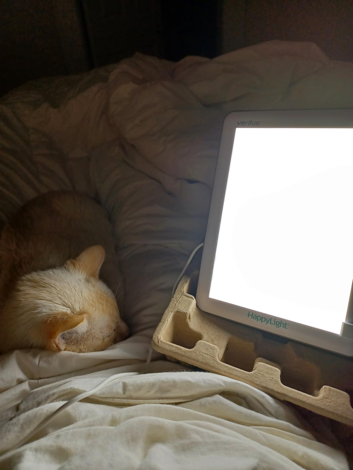 Verilux HappyLight Lucent - One-Touch Light Therapy Lamp with 10,000 Lux, UV-Free, LED Bright White Light & Detachable Stand for Boosting Mood & Improving Sleep customer photo 1