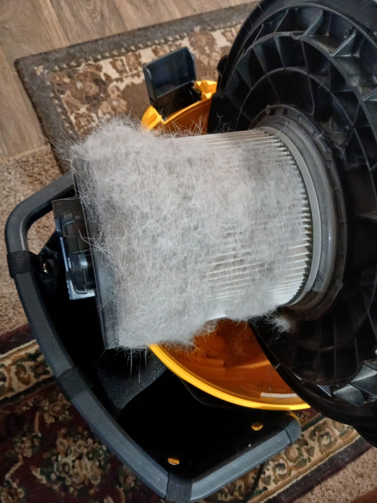 DEWALT 12 Gallon Poly Wet/Dry Vac, 5.5 HP Shop Vacuum Wet Vacuum Cleaner for Workshop, Jobsite, Commercial Area, Large Pick-Up Capacity, Yellow, DXV12P customer photo 1