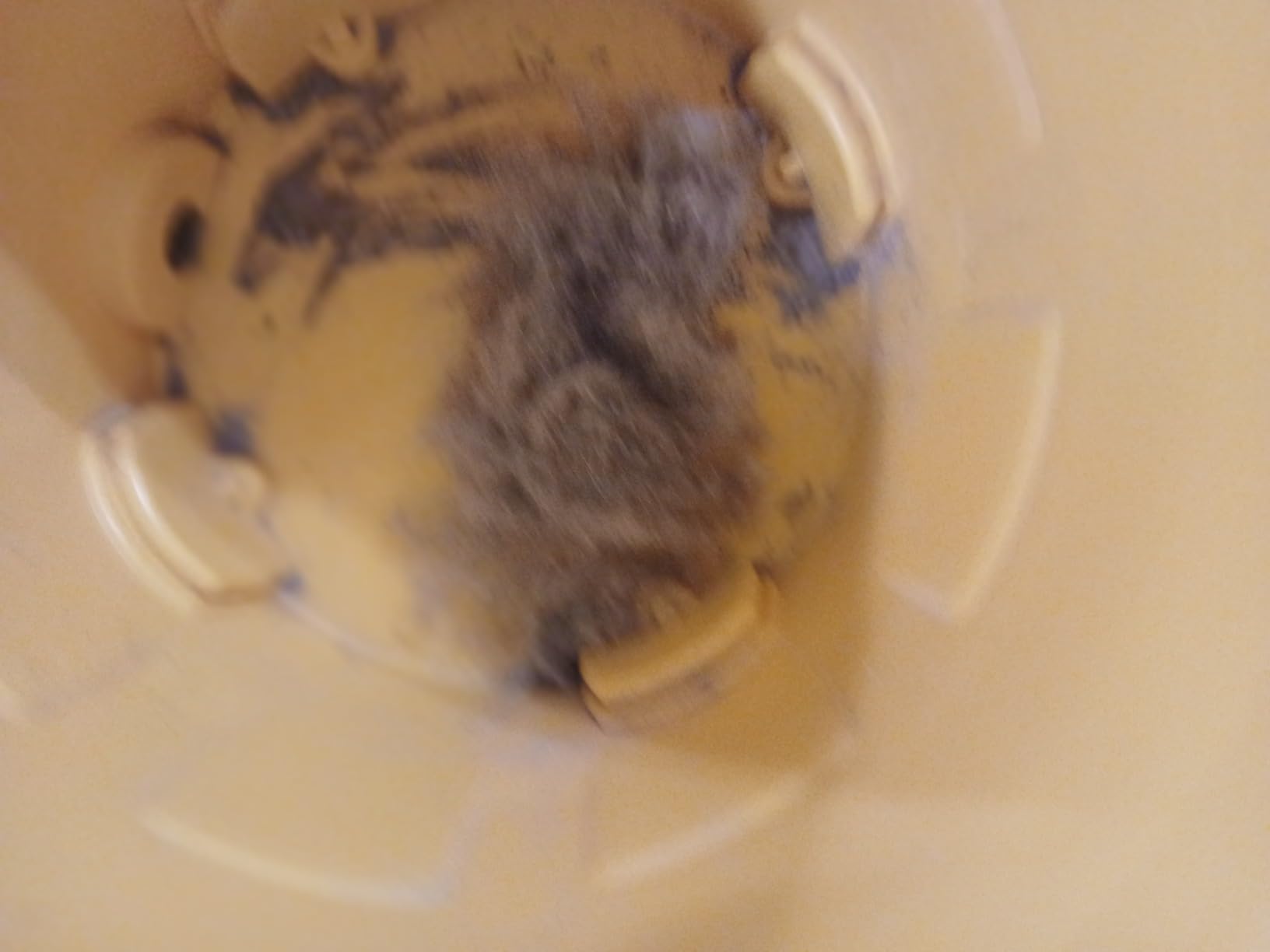 DEWALT 12 Gallon Poly Wet/Dry Vac, 5.5 HP Shop Vacuum Wet Vacuum Cleaner for Workshop, Jobsite, Commercial Area, Large Pick-Up Capacity, Yellow, DXV12P customer photo 2