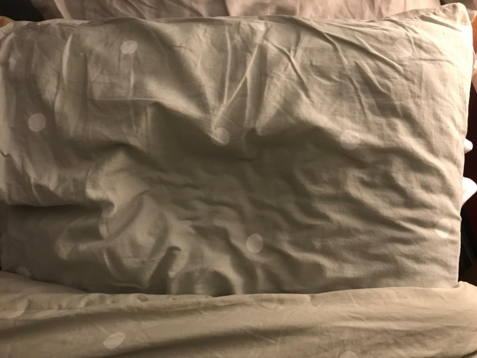 Tempur-Pedic TEMPUR-Cloud Pillow for Sleeping, Standard, White customer photo 1