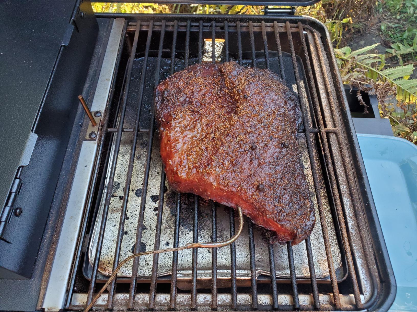 Traeger Grills TFT18KLD Ranger, Portable Wood Pellet Grill and Smoker - Electric Tabletop Pellet Smoker with Digital Arc Controller, Cast Iron Griddle, For Tailgating and Outdoor Cooking customer photo 1