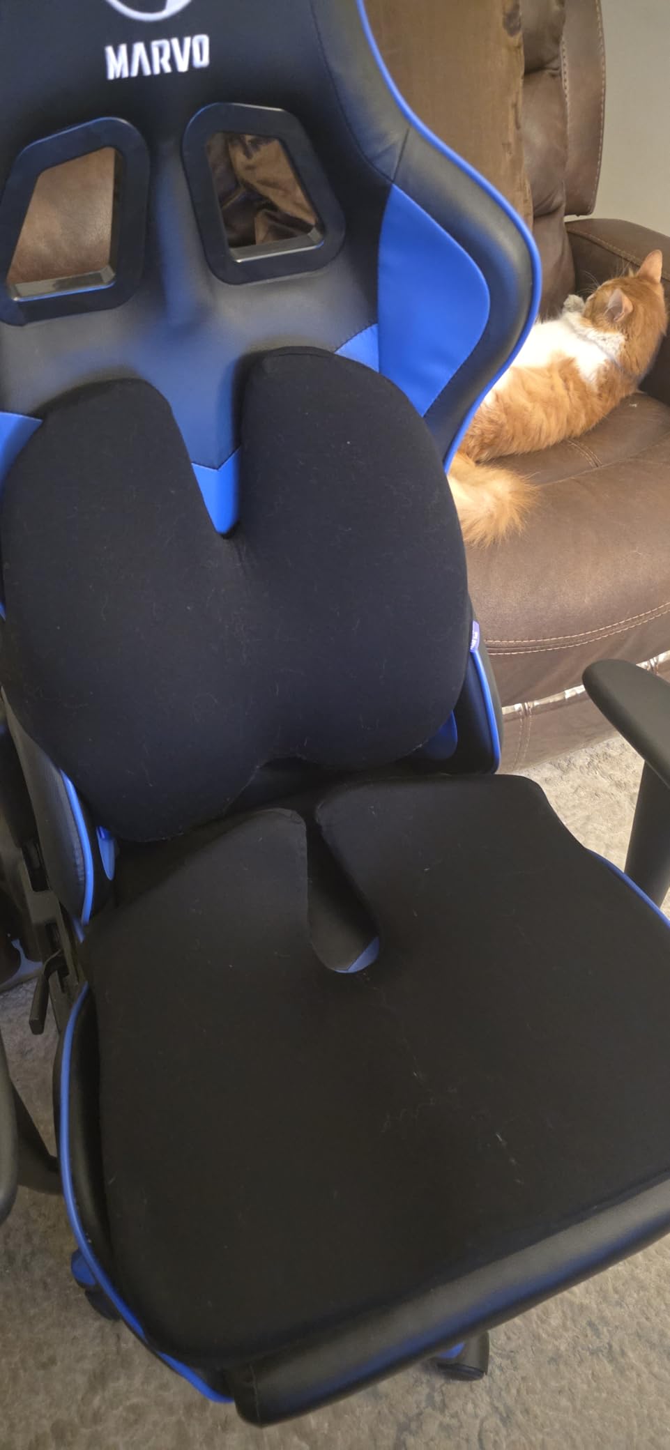 Cushion Lab Extra Dense Lumbar Pillow - Patented Ergonomic Multi-Region Firm Back Support for Lower Back Pain Relief - Lumbar Support Cushion with Strap for Office Chair, Car, Sofa, Plane - Grey customer photo 2