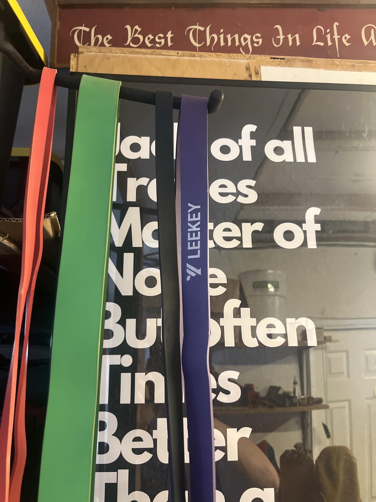 LEEKEY Resistance Bands, Exercise Bands with Handles, Pull Up Assist Bands - Band Set with Door Anchor - Bands for Working Out, Band for Men and Women Fitness Training, Home Workouts customer photo 1