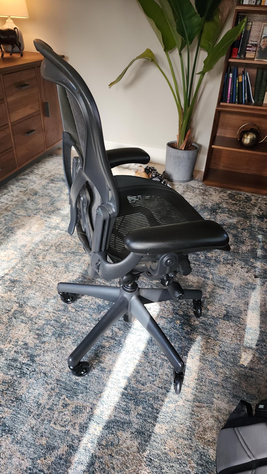 Office Chair Caster Wheels Set of 5 Heavy Duty & Safe for All Floors Including Hardwood 3