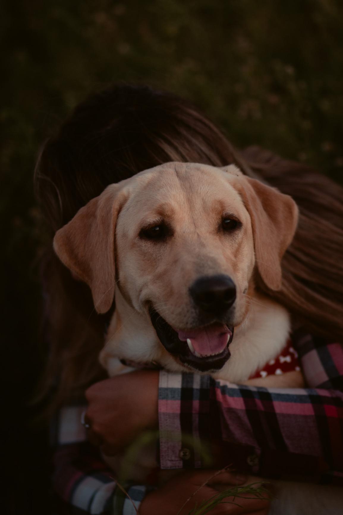 Canon EF 85mm f/1.8 USM Medium Telephoto Lens for Canon SLR Cameras - Fixed (Renewed) customer photo 1