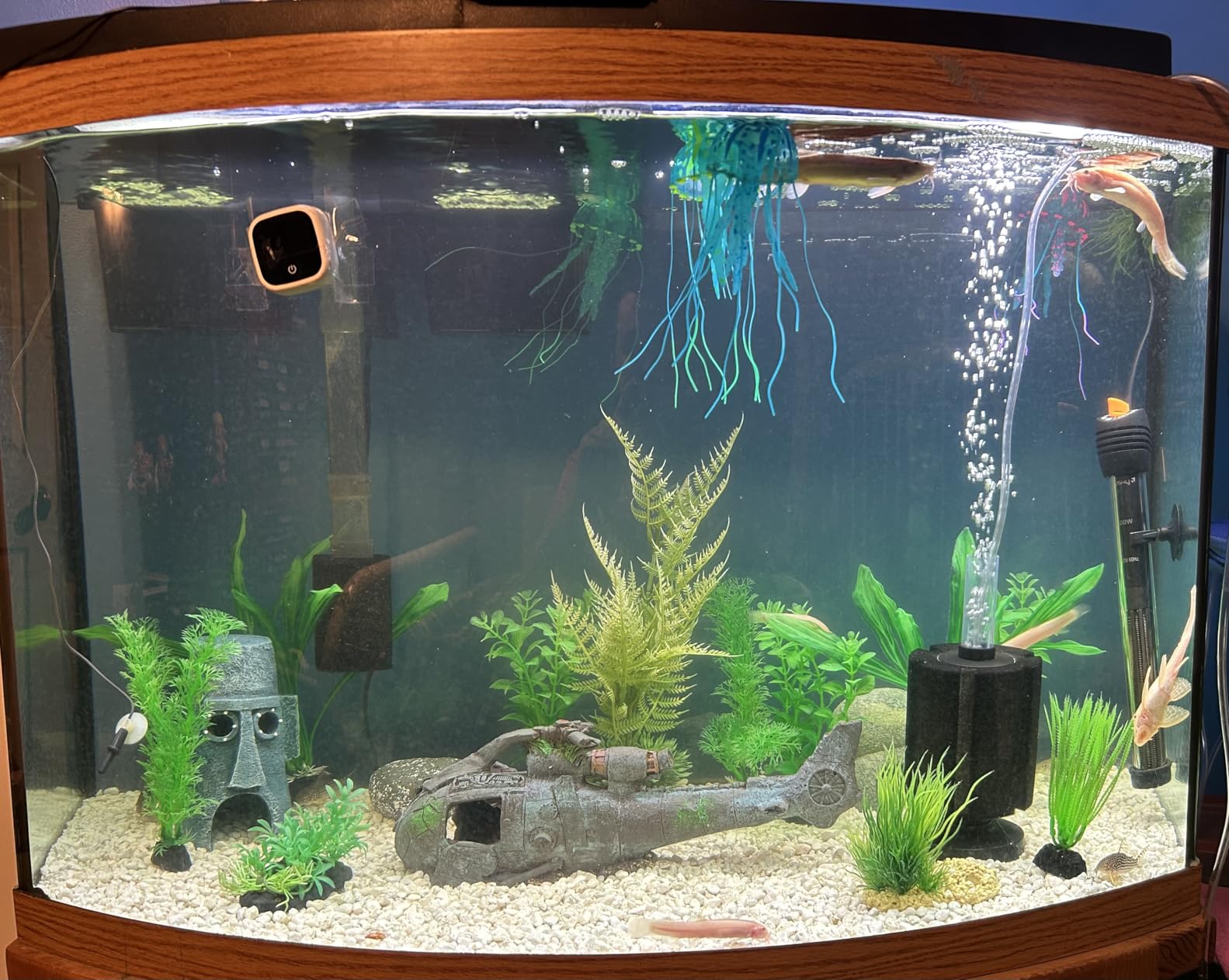 Orlushy Submersible Aquarium Heater,300W Adjustable Fish Tahk Heater with 2 Suction Cups Free Thermometer Suitable for Marine Saltwater and Freshwater customer photo 2