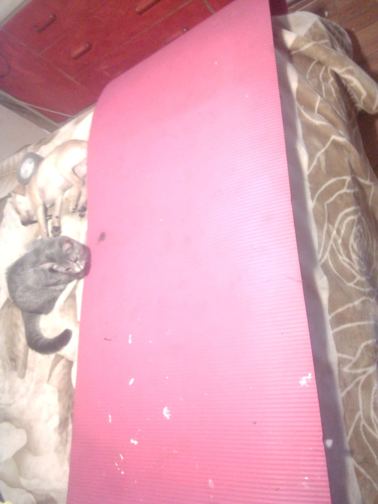 Gaiam Yoga Mat, Pilates & Exercise Mat, Thick 2/5