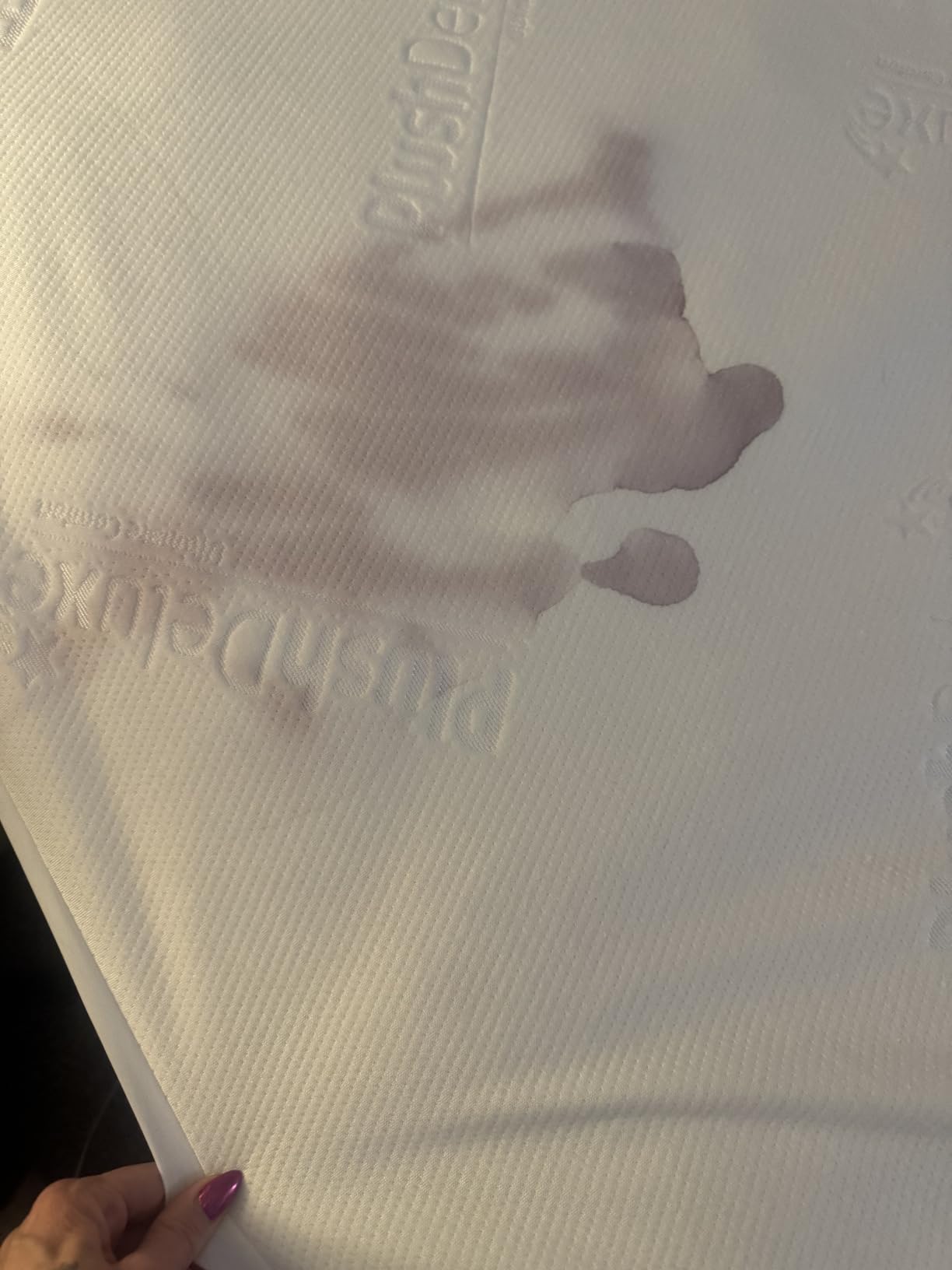 PlushDeluxe Premium Bamboo Mattress Protector - Queen Size, Waterproof, & Ultra Soft Breathable Noiseless Washable Bed Mattress Cover for Comfort & Protection - White customer photo 2