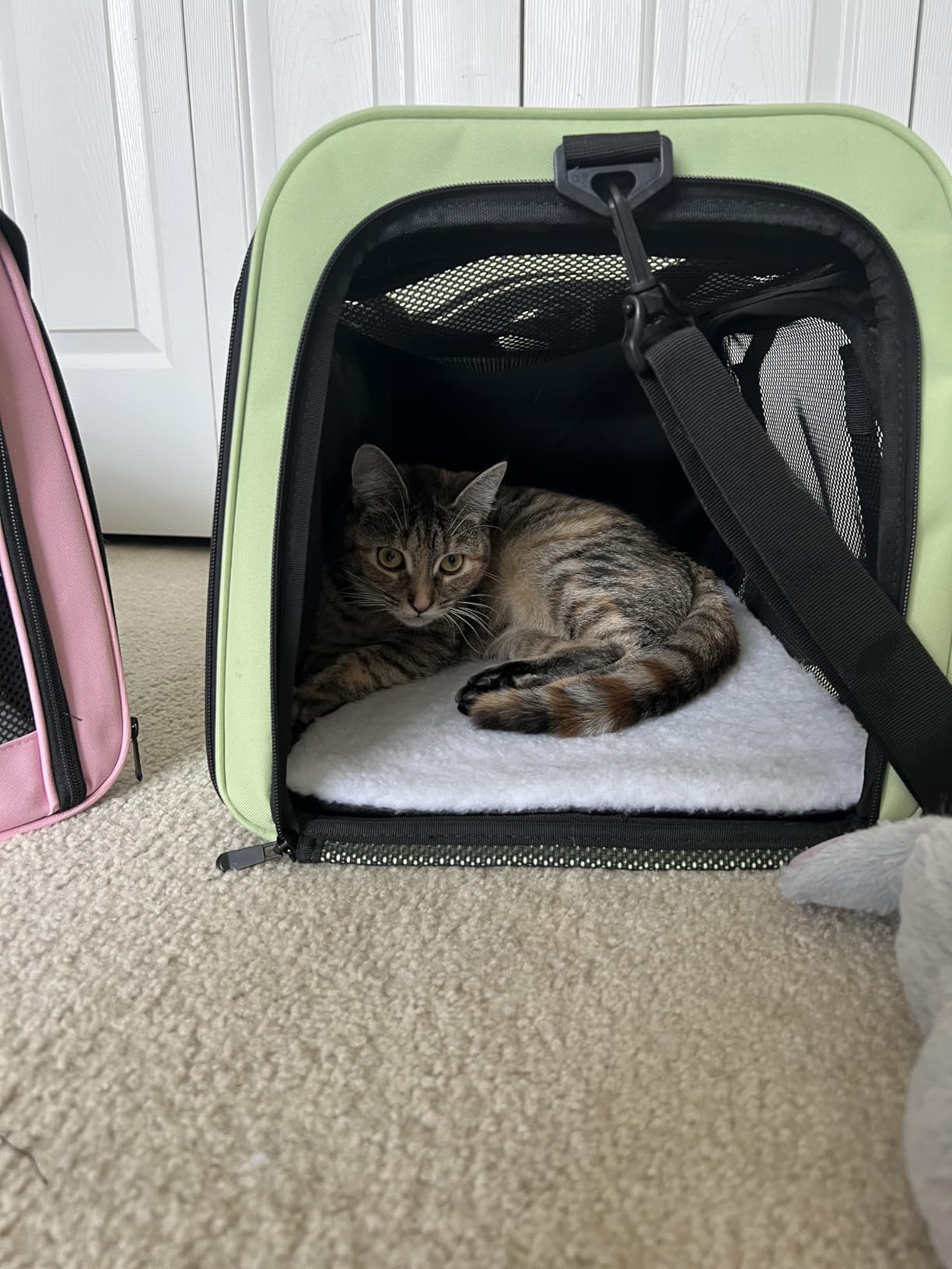 Henkelion Cat Carriers Dog Carrier Pet Carrier For Small / Medium Cats Dogs Puppies (Up To 15lbs), TSA Airline Approved Small Dog Carrier Soft Sided, Collapsible Waterproof Travel Puppy Carrier - Grey customer photo 2