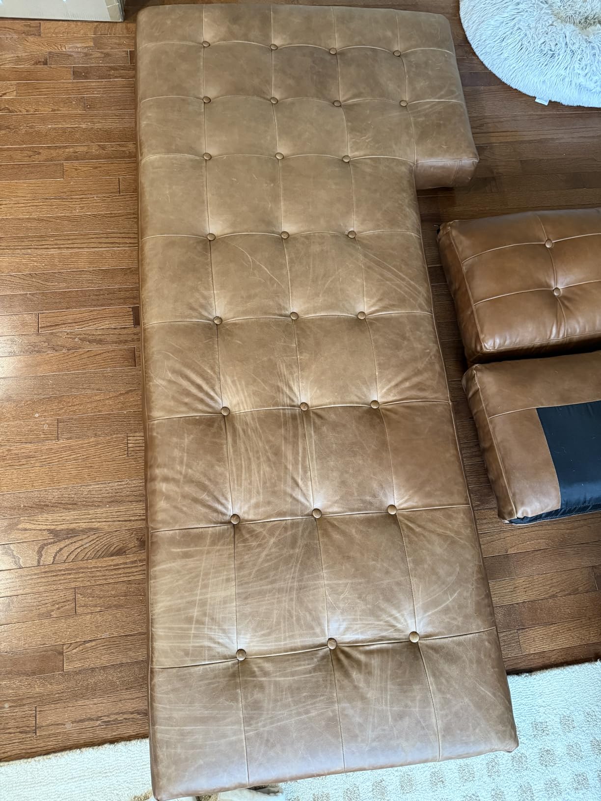 Lexol All Leather Conditioner for Car Seats and Interiors, Couches and Furniture, Shoes and Boots, Bags and Jackets, Baseball Gloves and Horse Saddles, and More, 16.9 oz Bottle (Step 2 of 2) customer photo 2