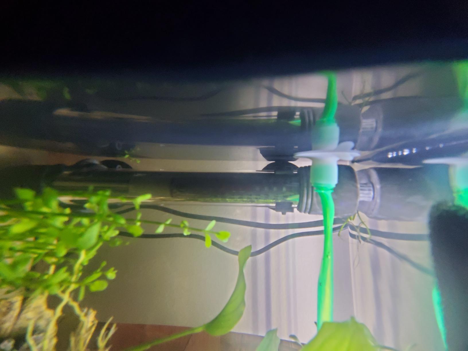 HITOP 25W 50W 100W 200W 300W Adjustable Aquarium Heater, Submersible Fish Tank Heater Thermostat with Suction Cup (50W) customer photo 1