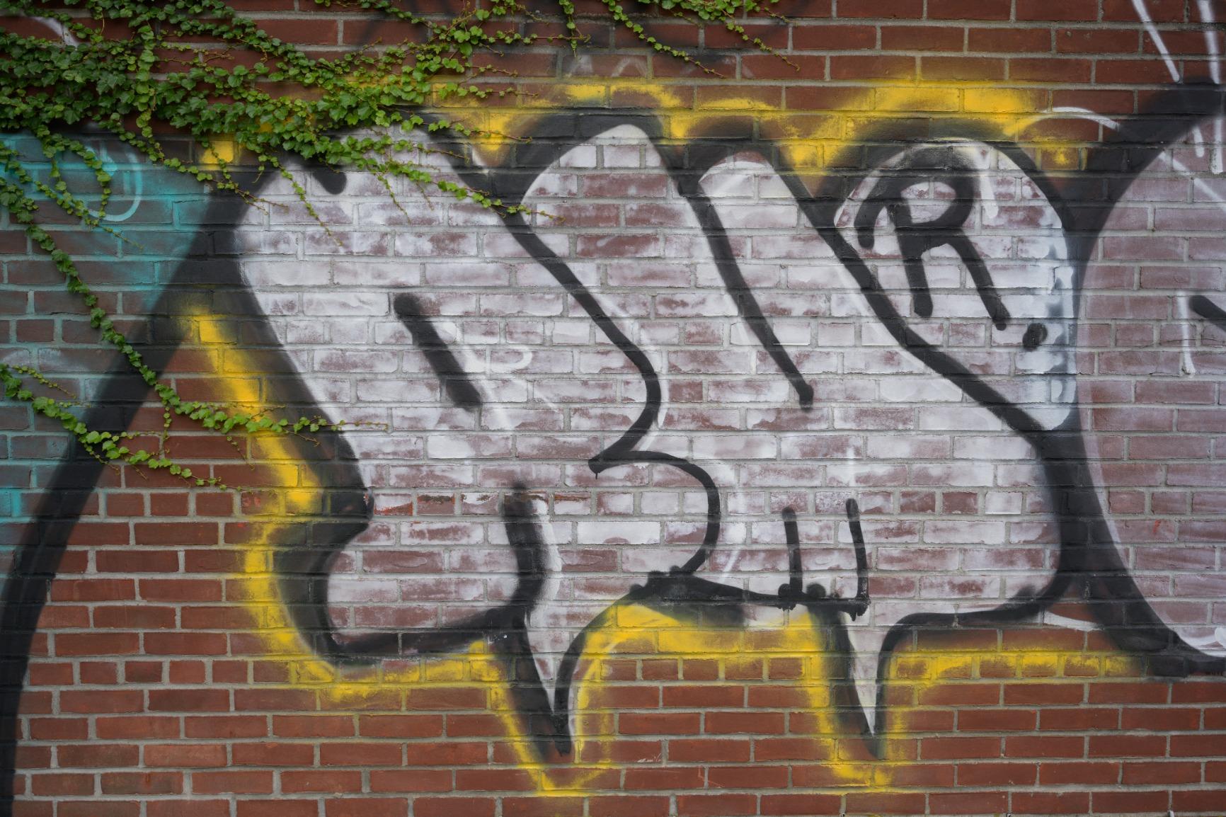 Nikon NIKKOR Z 14-30mm f/4 S | Premium constant aperture wide-angle zoom lens for Z series mirrorless cameras | Nikon USA Model customer photo 1