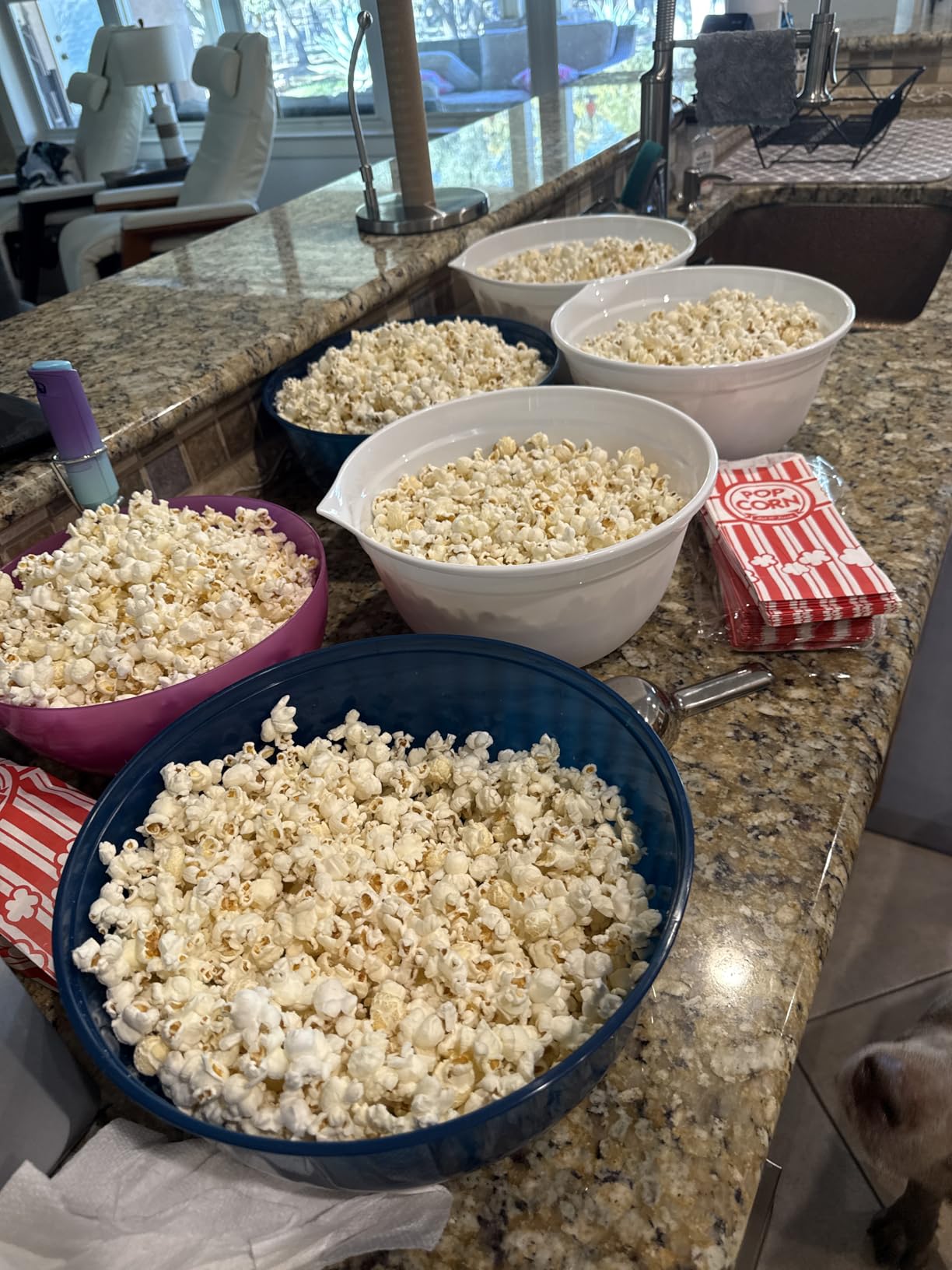 DASH Fresh Pop Popcorn Maker - Oil-Free, Air Popcorn Popper - With Measuring Cup & Recipe Guide - Perfect for Movie Nights - 16 Cups, Aqua customer photo 1