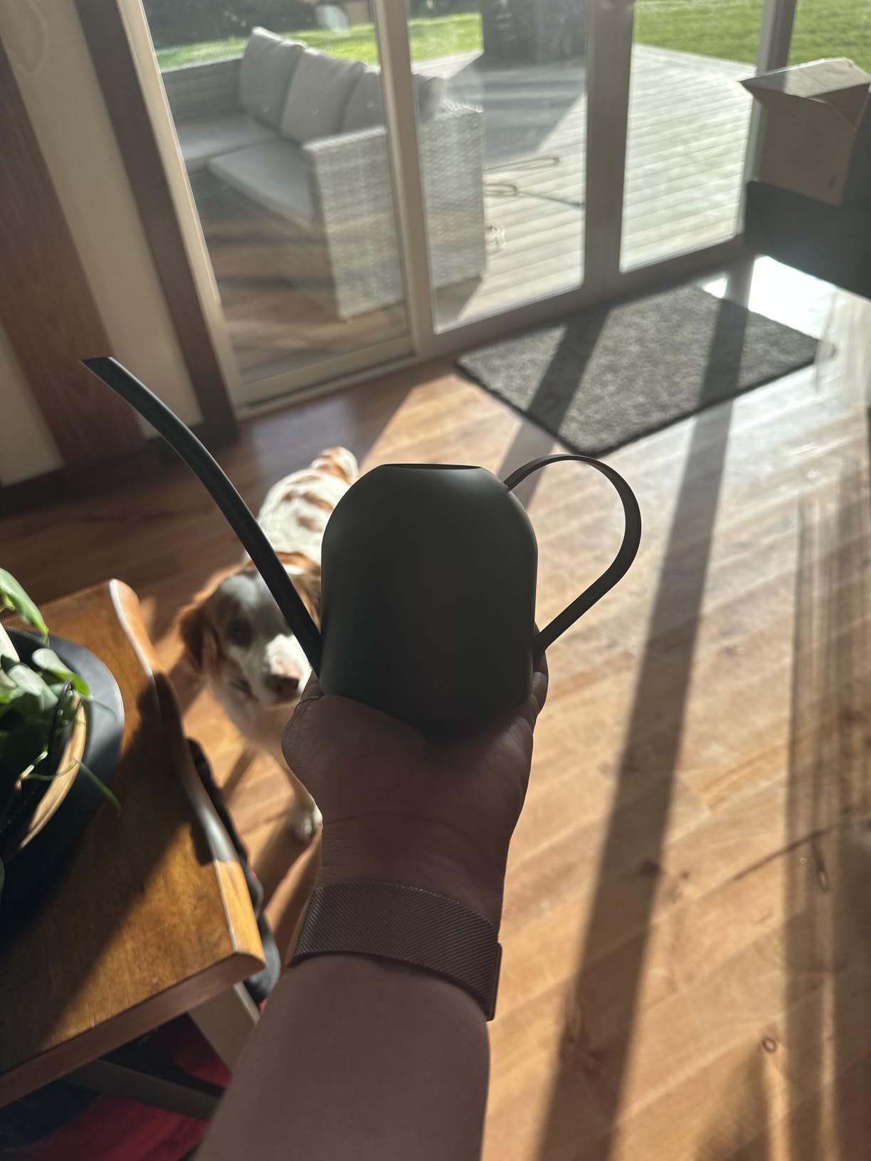 IMEEA Small Watering Can for Indoor Plants Stainless Steel Bonsai Watering can Mini Metal (15oz/450ml) customer photo 2