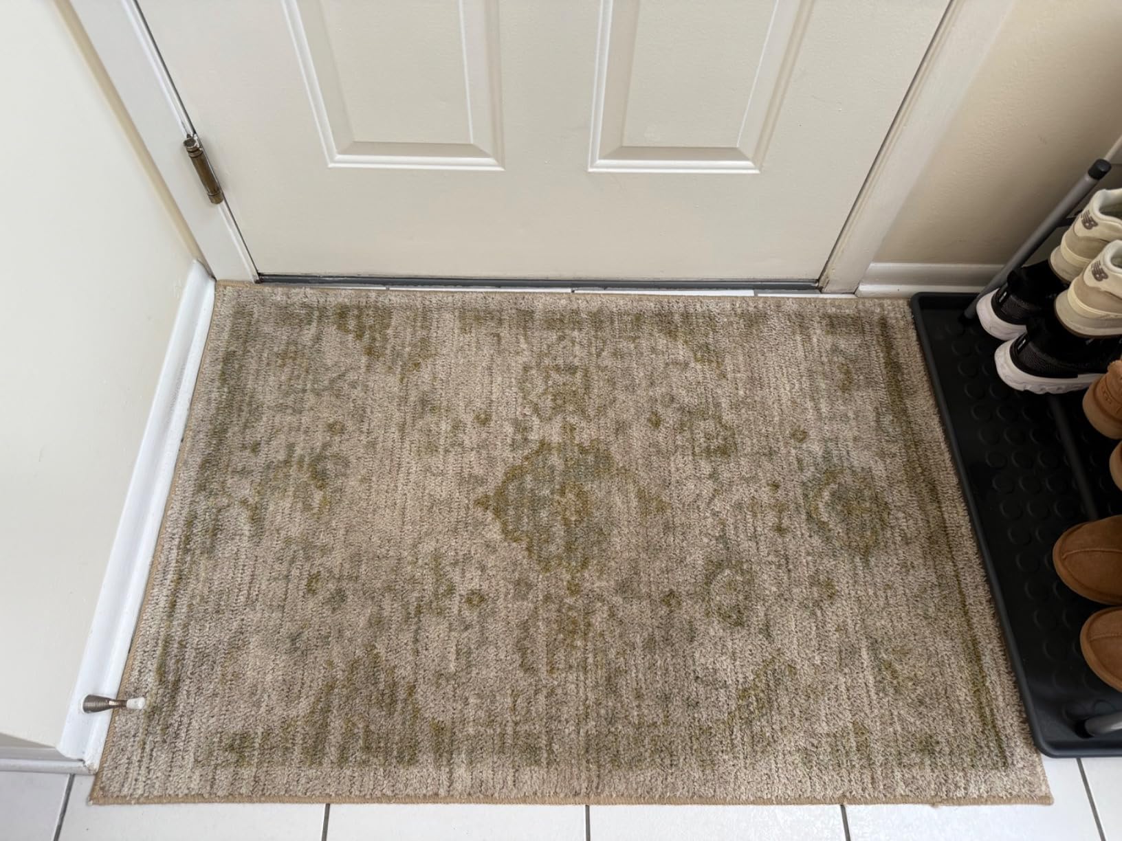 BISSELL Little Green Proheat Portable Deep Cleaner/Spot Cleaner and Car/Auto Detailer with self-Cleaning HydroRinse Tool for Carpet and Upholstery, 2513E customer photo 2