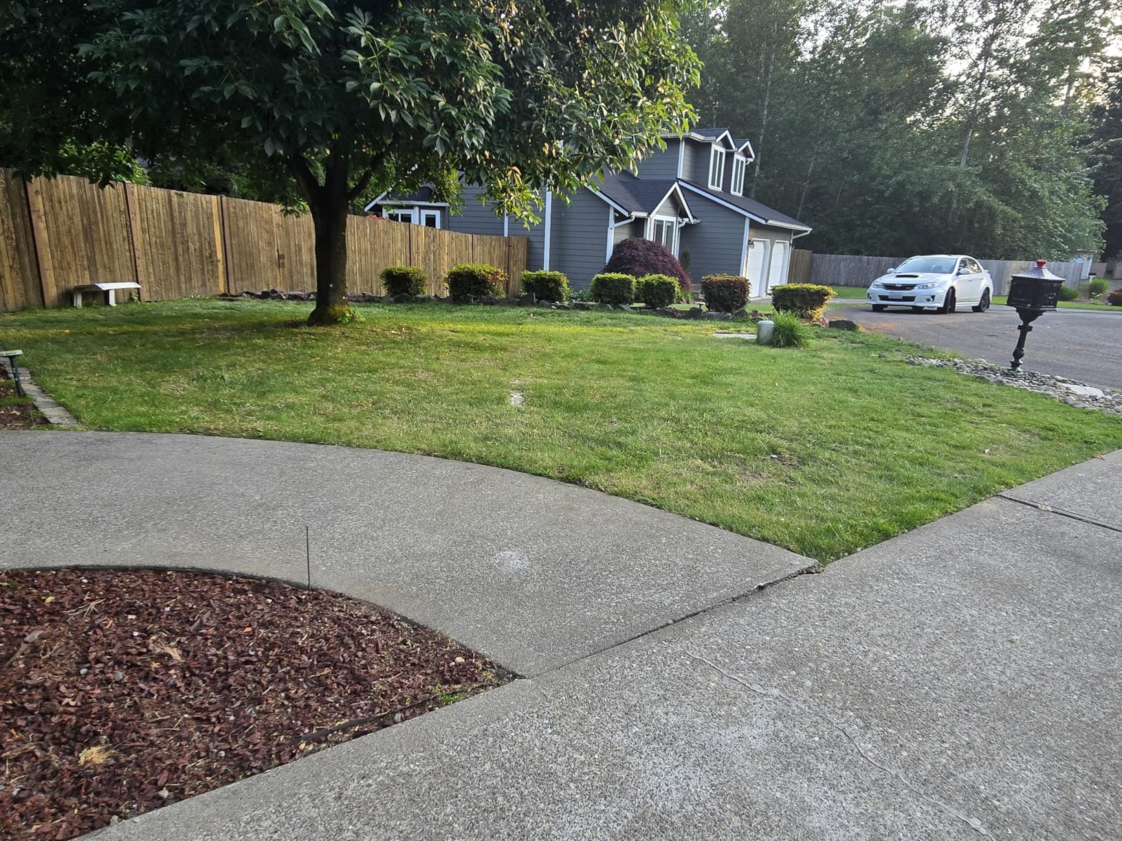 Orbit 50022 Medium-Area 1-Zone All-in-One Automatic Watering System with B-hyve Smart Hose Watering Timer and B-hyve Smart Wi-Fi Hub customer photo 1