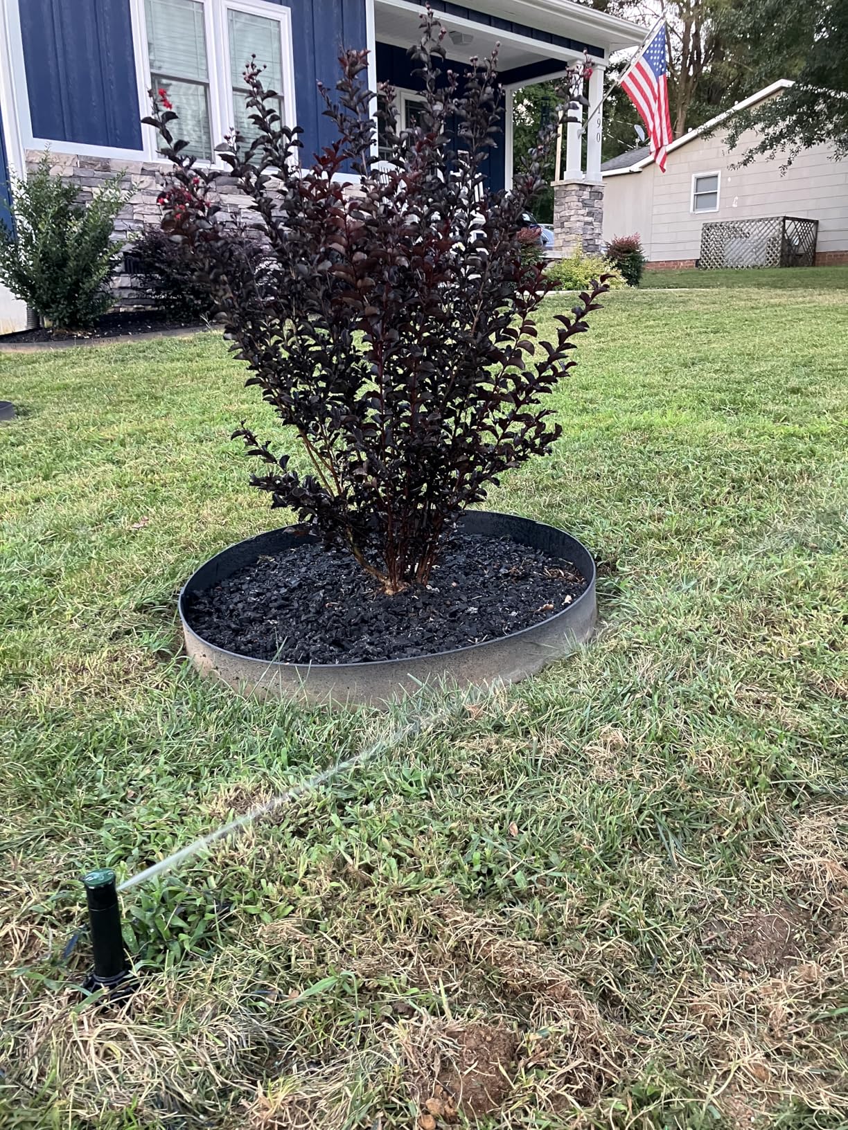 Orbit 50022 Medium-Area 1-Zone All-in-One Automatic Watering System with B-hyve Smart Hose Watering Timer and B-hyve Smart Wi-Fi Hub customer photo 2