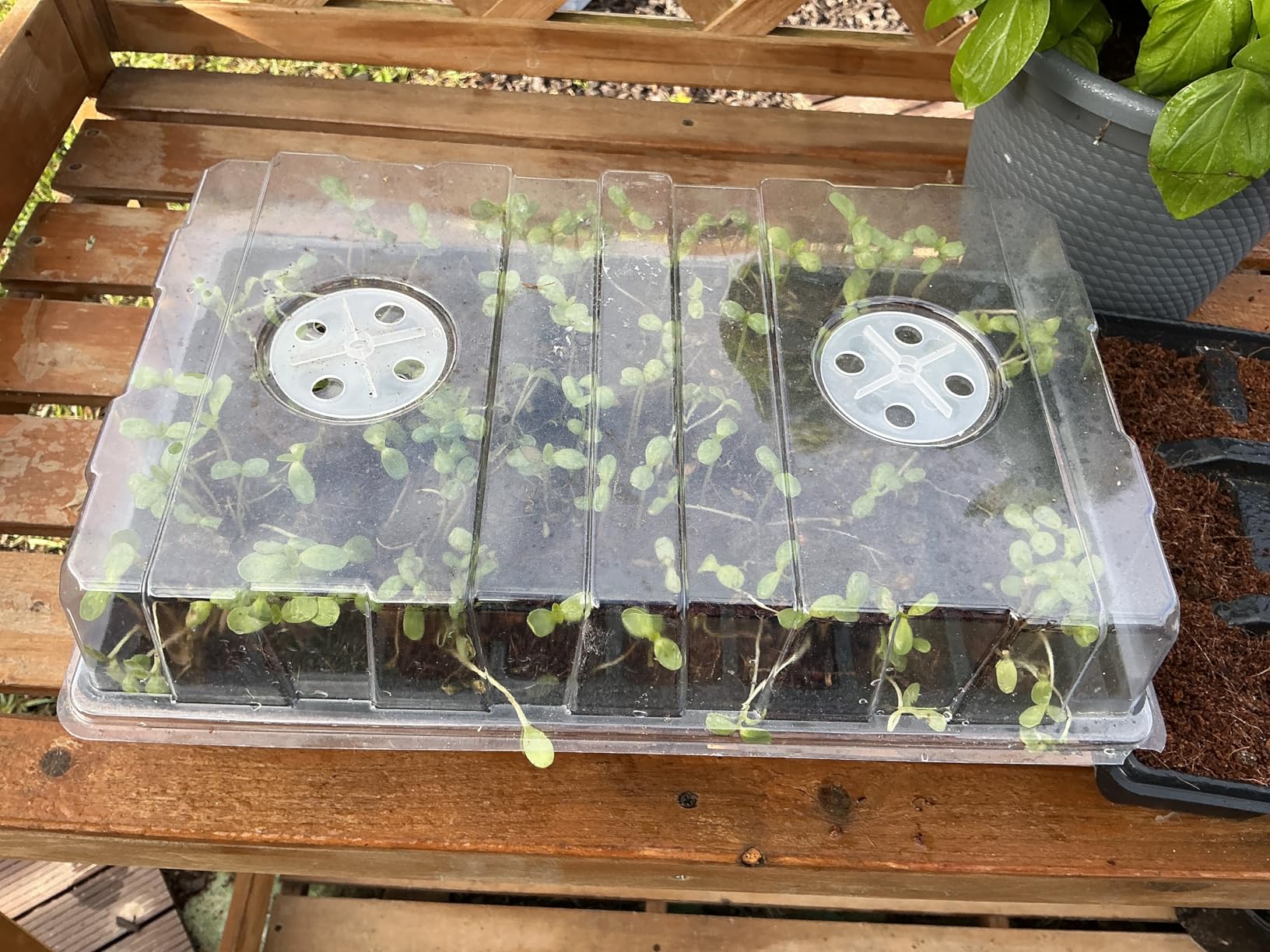 Gardzen 5-Set Seed Starter Tray Kits, Durable Plant Germination Trays with Humidity Vented Domes and Bases, Ideal for Seed Starting, Indoor Gardening, and Greenhouse (Total 200 Cells) customer photo 1