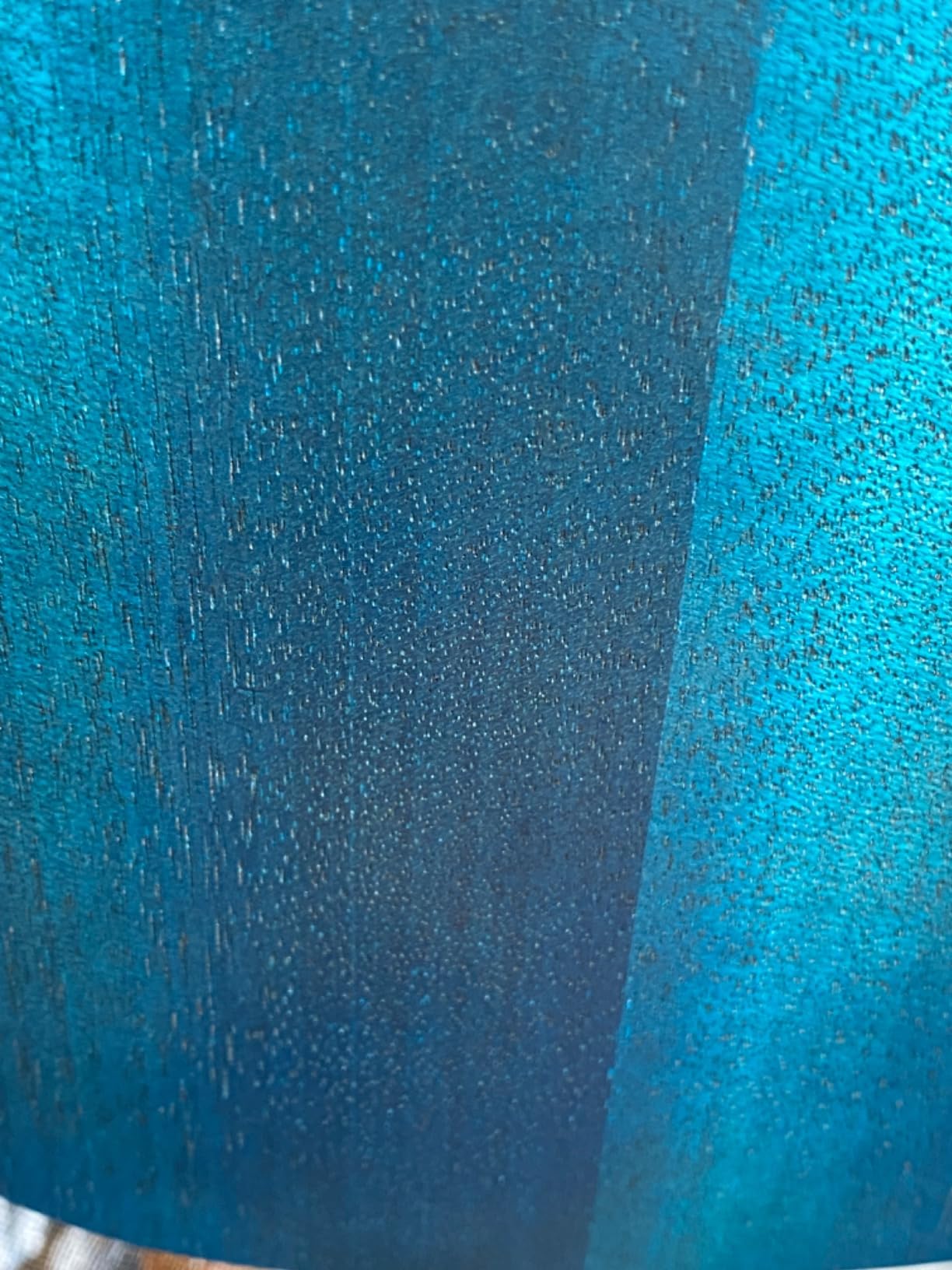 Enya Concert Ukulele EUC-25D 23 Inch Solid Mahogany Top - Beginner Kit with Case, Tuner, Strap, Strings, Capo, Sand Shaker, Pick, Polish Cloth - Professional Sound for Beginners & Adults (Blue Color) customer photo 1