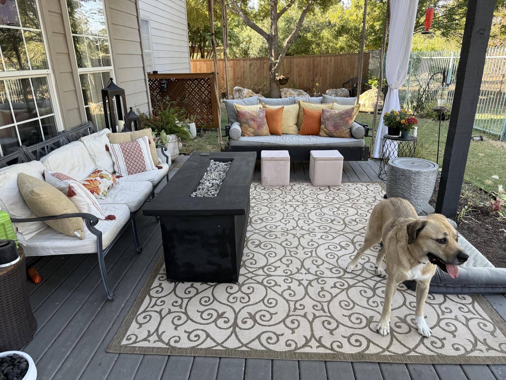 JONATHAN Y Vintage Filigree Indoor Outdoor Area Rug 8X10 Black/Khaki, Madrid Textured Weave for Backyard, Patio, Porch, Easy-Cleaning, High Traffic, Pet-Friendly, Non-Shedding customer photo 1